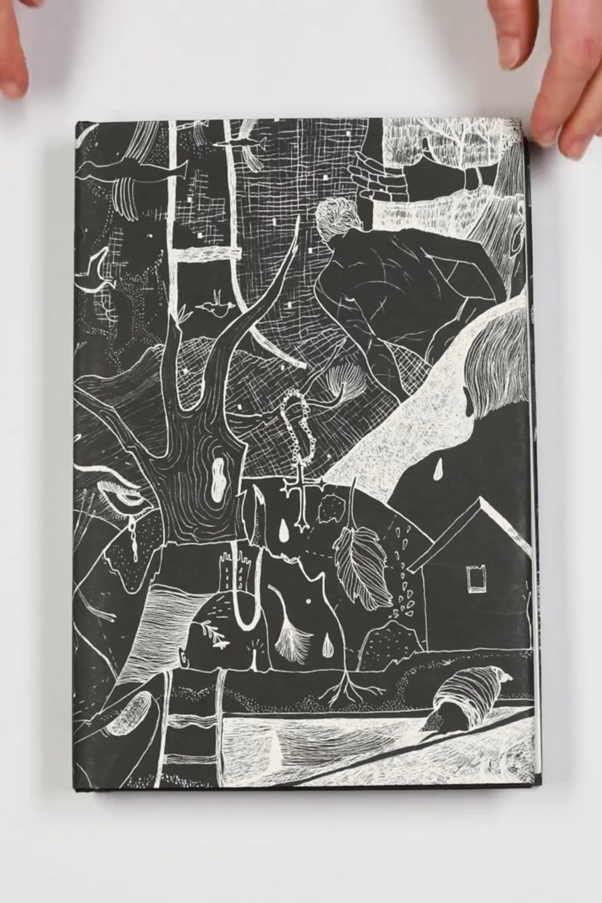 Фотографии Дэниела Рампулла (Daniel Rampulla). Private image