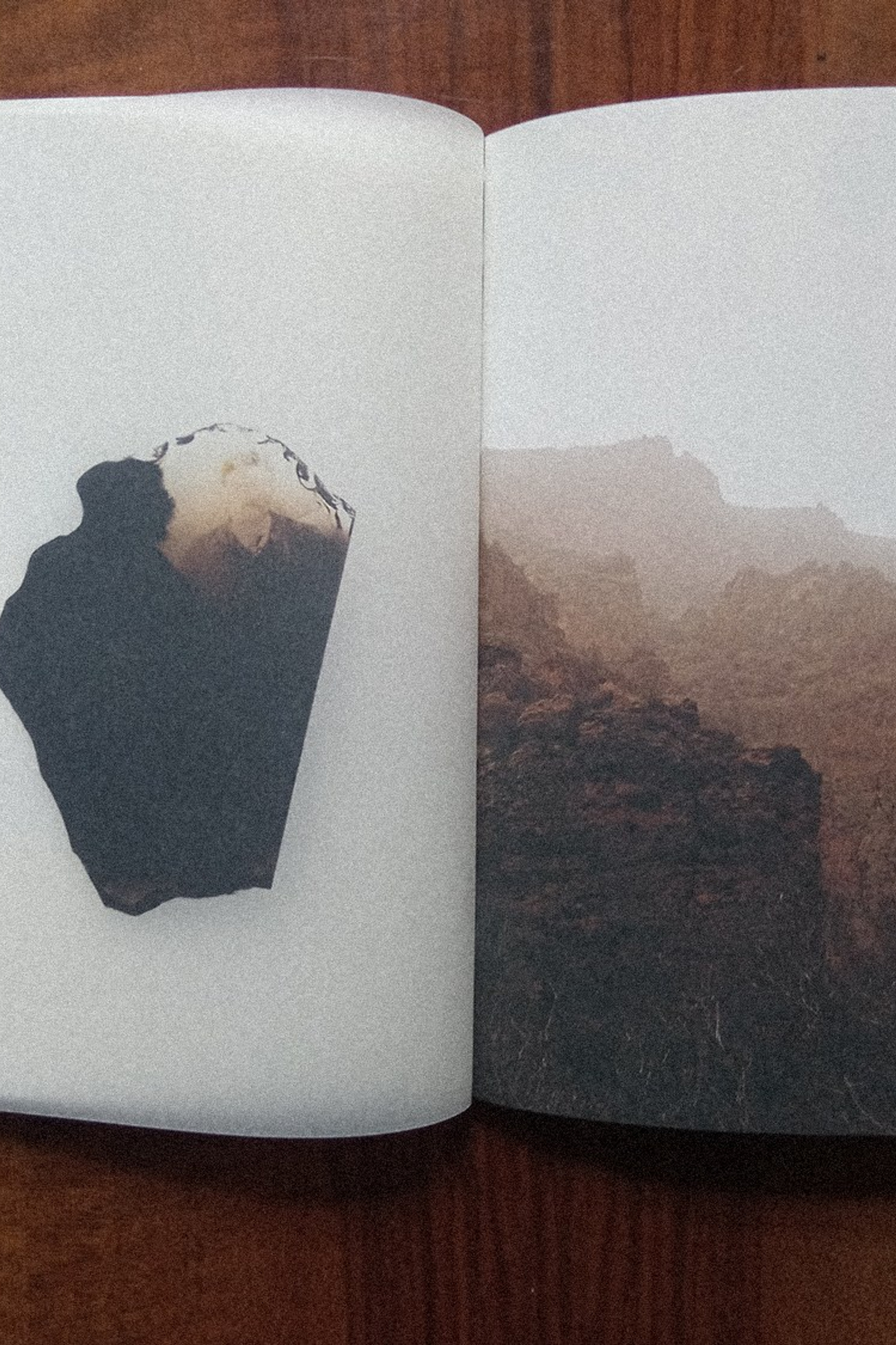 Фотографии Дэниела Рампулла (Daniel Rampulla). Private image