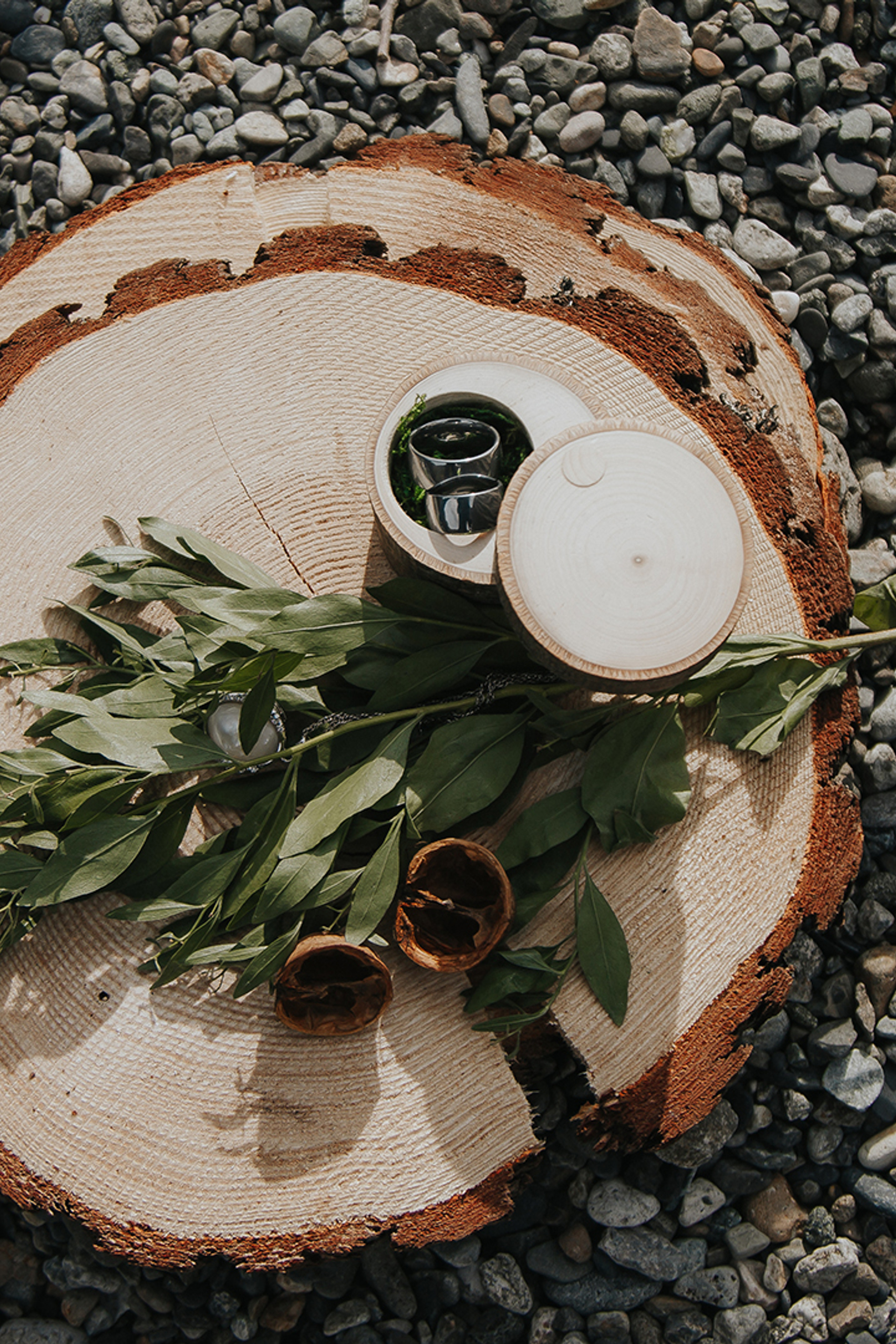 СВАДЬБА КОТОВ. СВАДЕБНЫЙ ФОТОГРАФ НАТАЛИКА