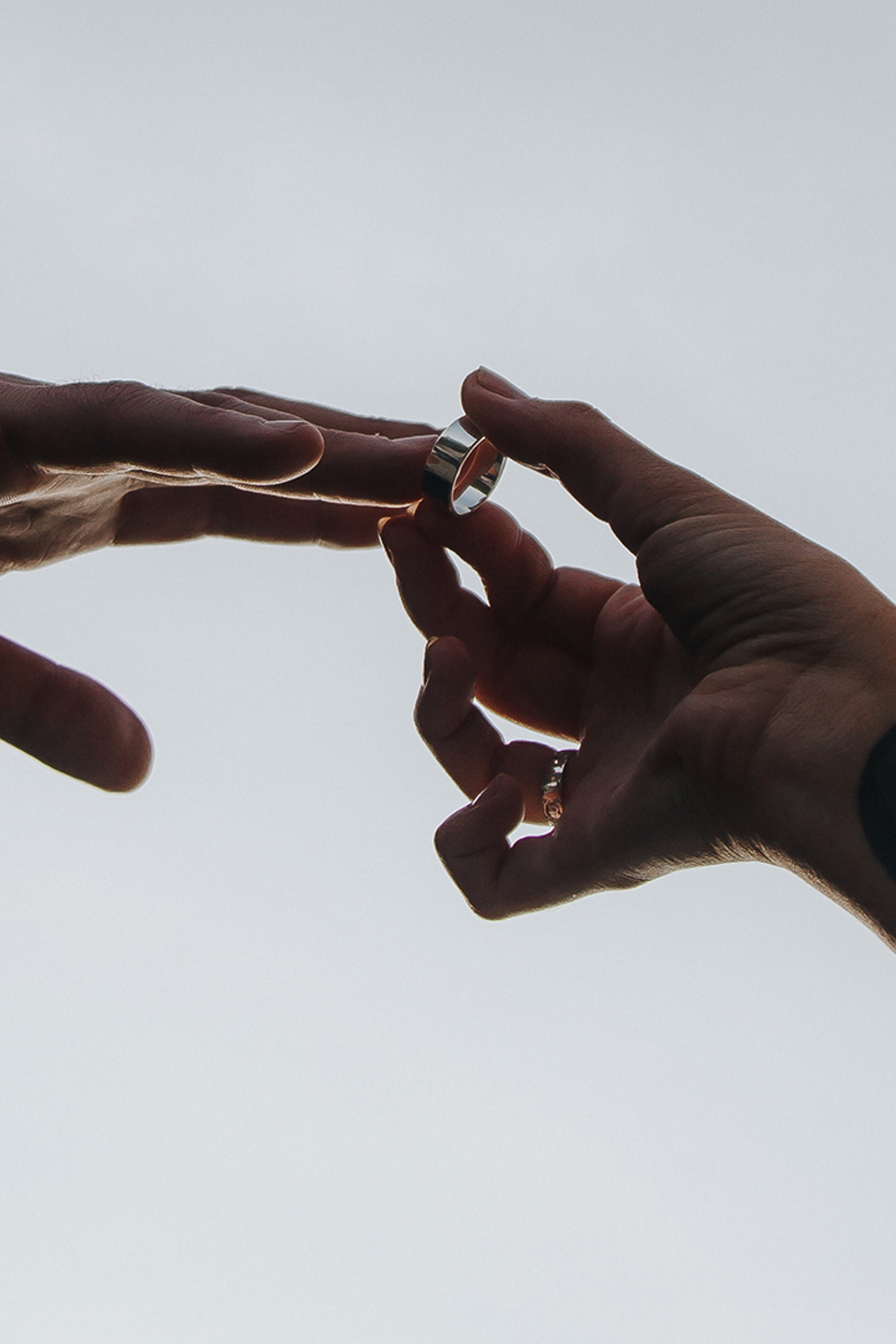 СВАДЬБА КОТОВ. СВАДЕБНЫЙ ФОТОГРАФ НАТАЛИКА