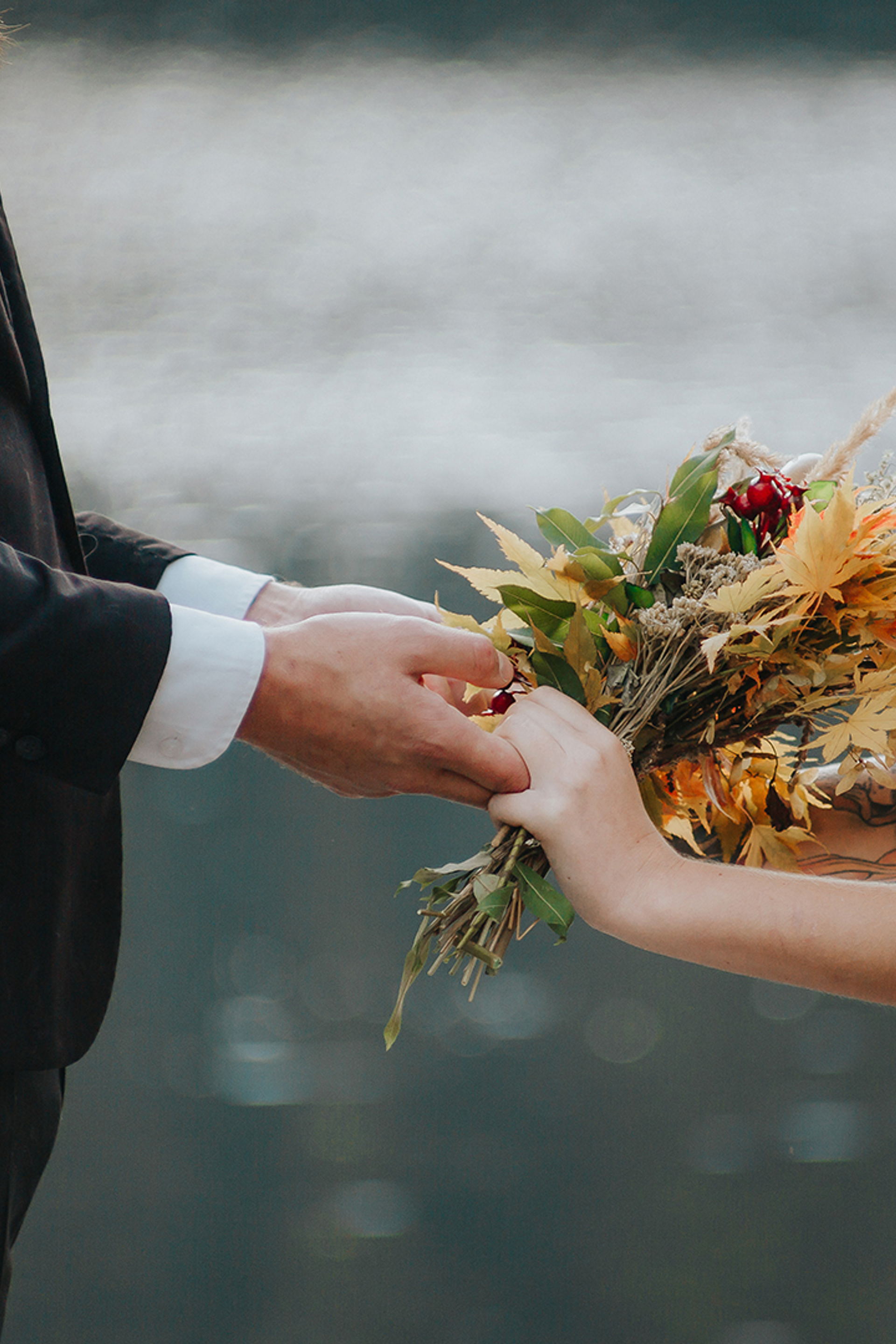 СВАДЬБА КОТОВ. СВАДЕБНЫЙ ФОТОГРАФ НАТАЛИКА