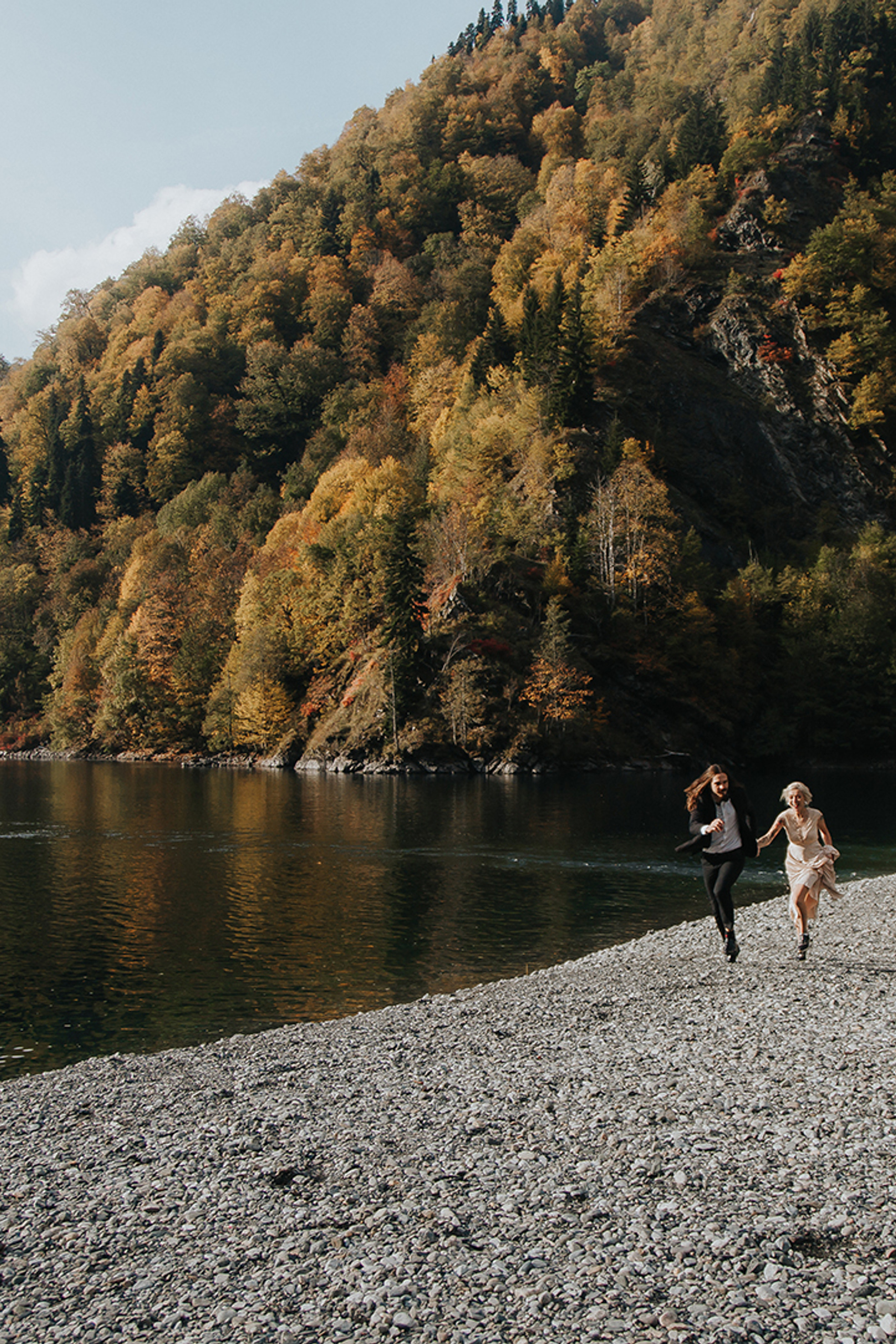 СВАДЬБА КОТОВ. СВАДЕБНЫЙ ФОТОГРАФ НАТАЛИКА