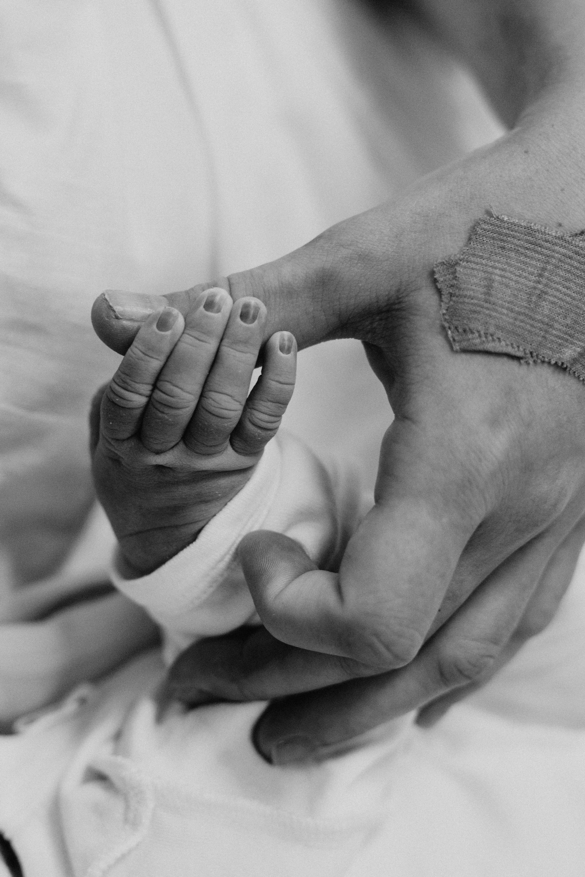 Рождение Анисии