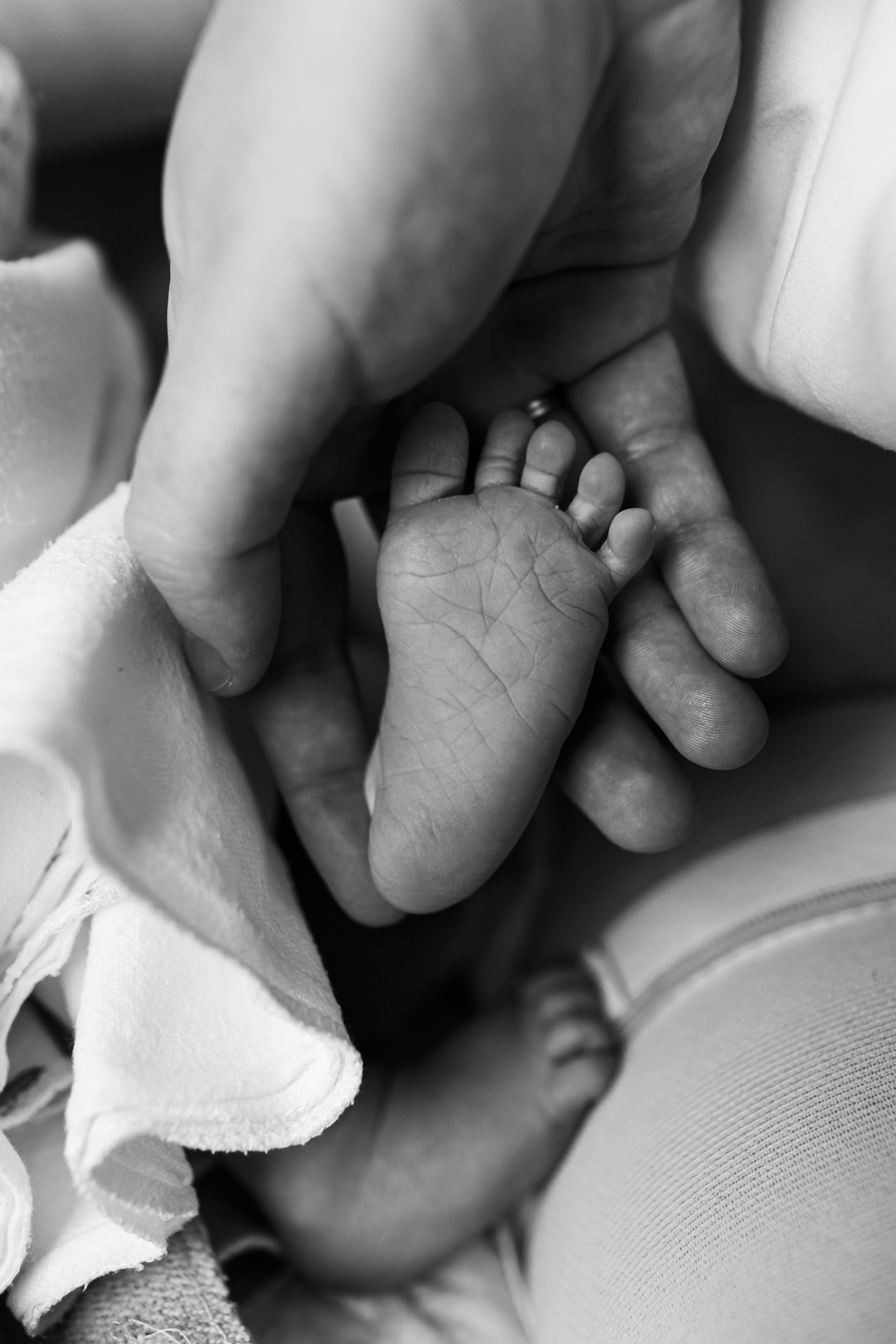 Рождение Левушки