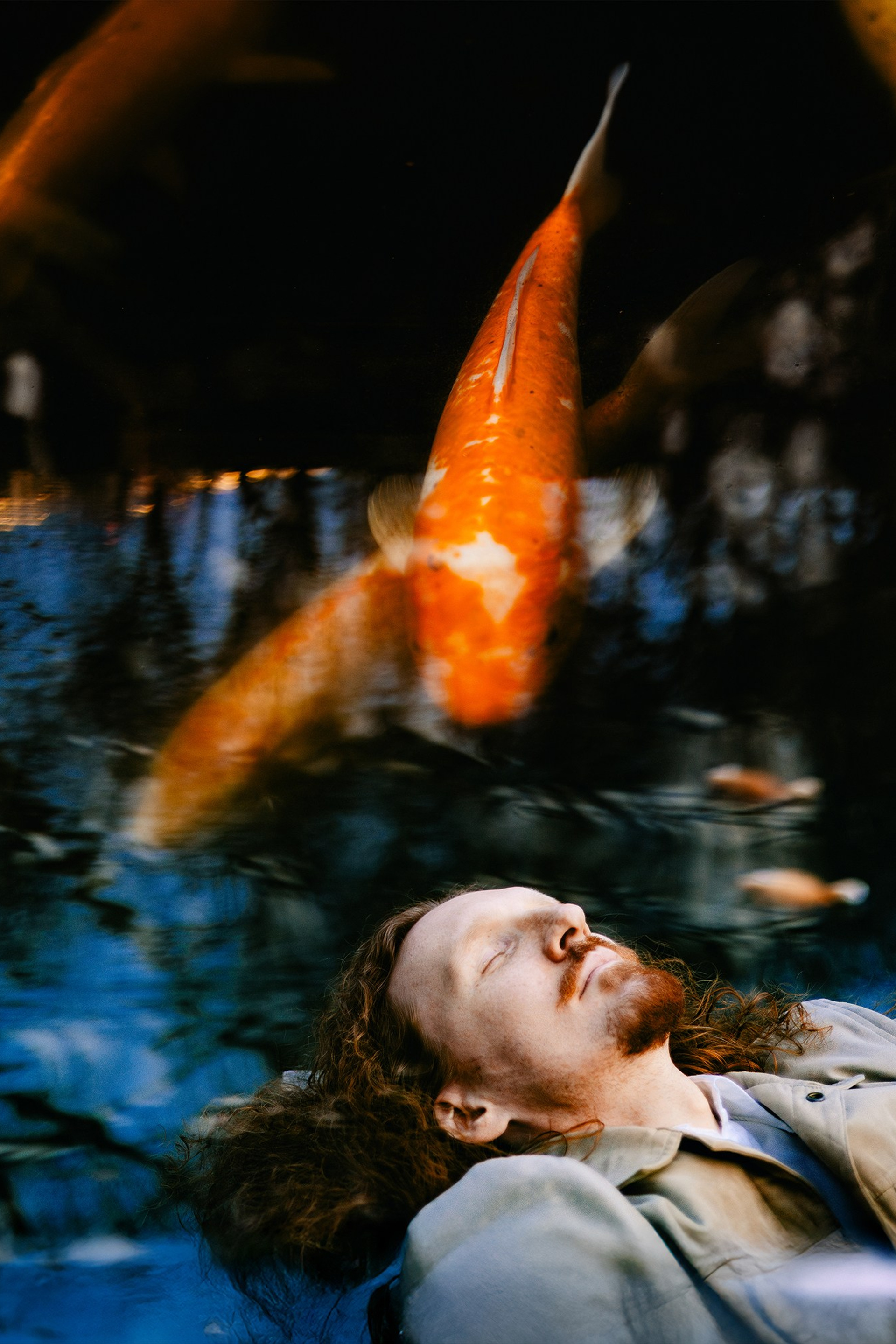 Лис в зелени и синеве