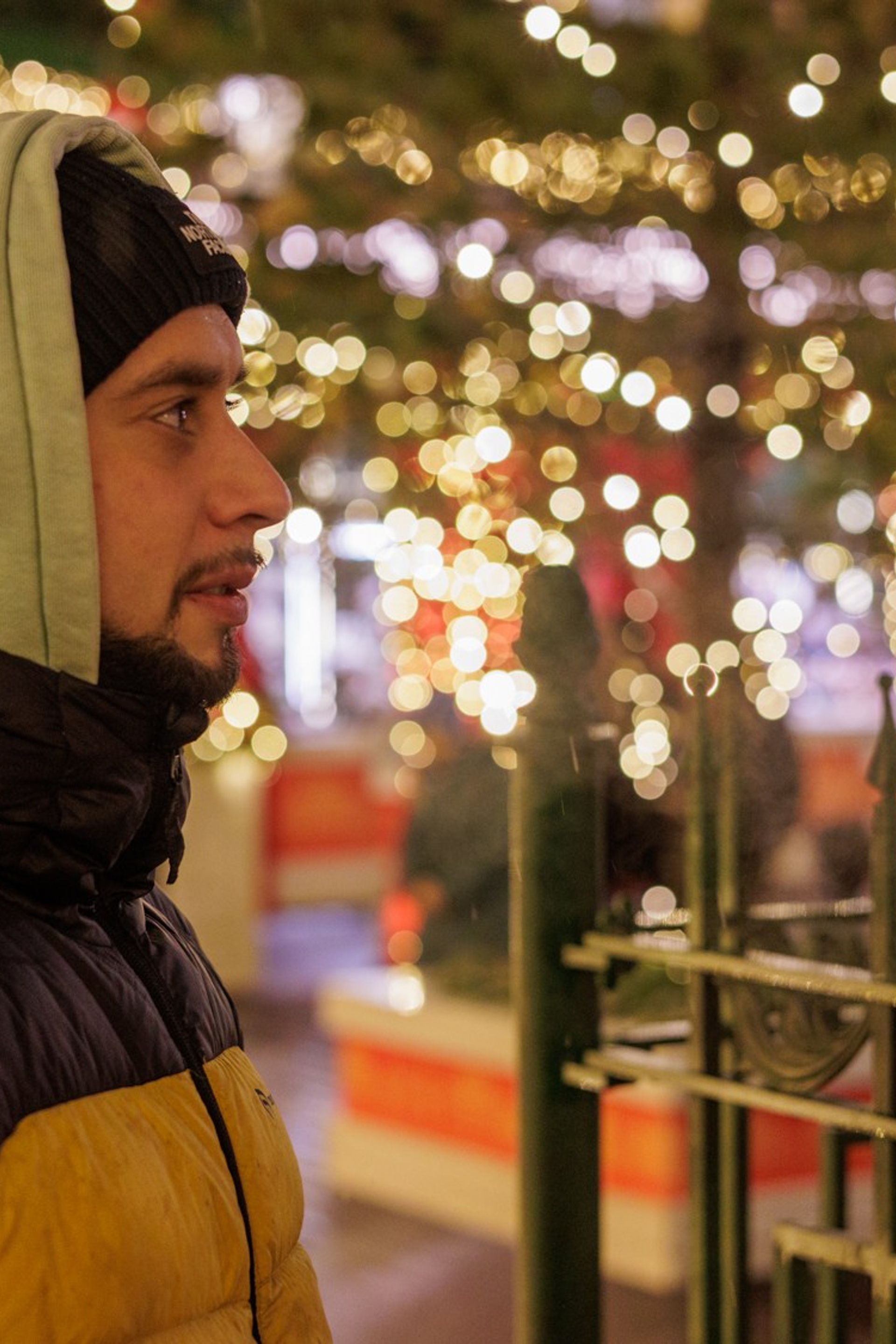 Новогодняя прогулка