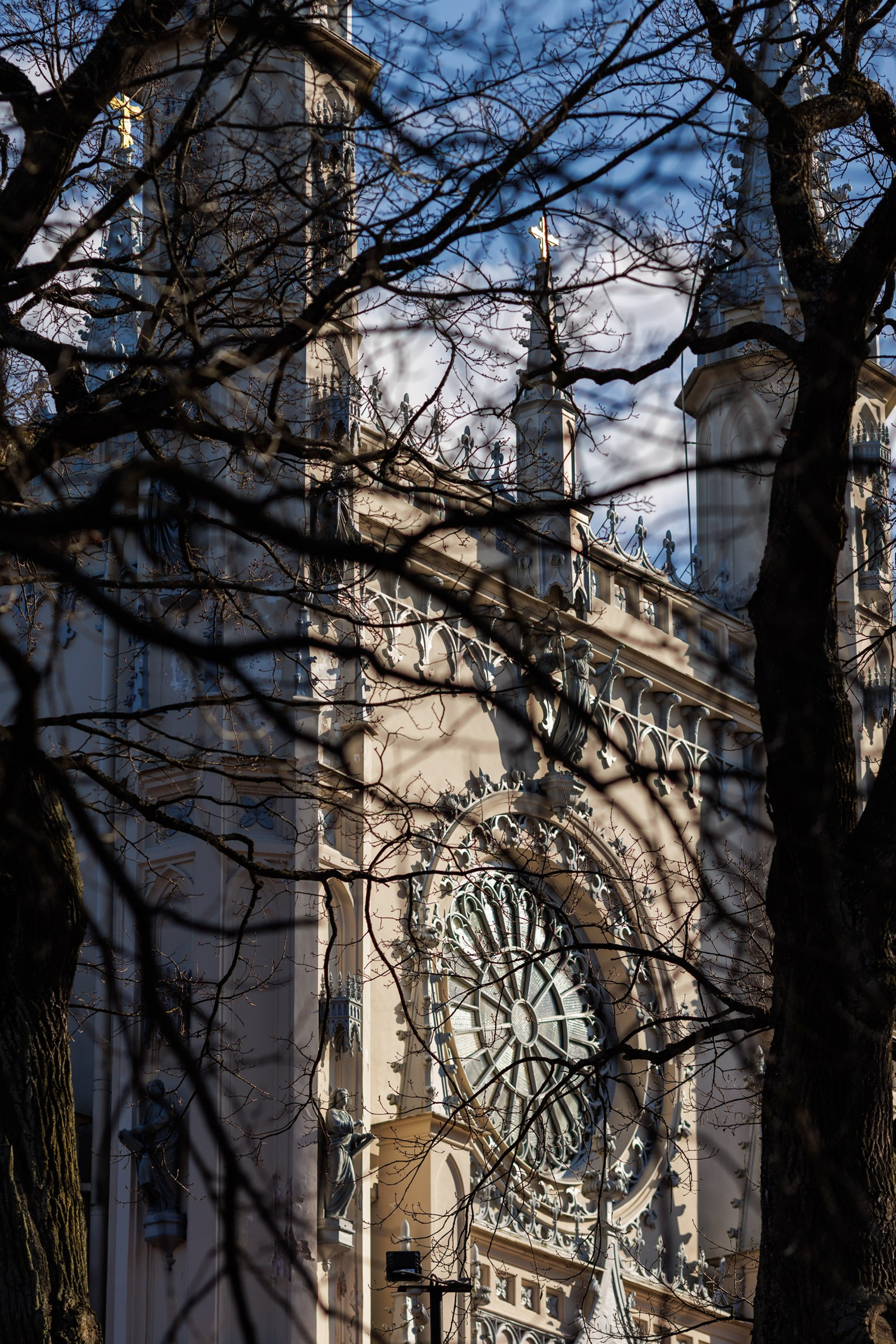 Анна и ветер. Фотограф Александр в Санкт-Петербурге