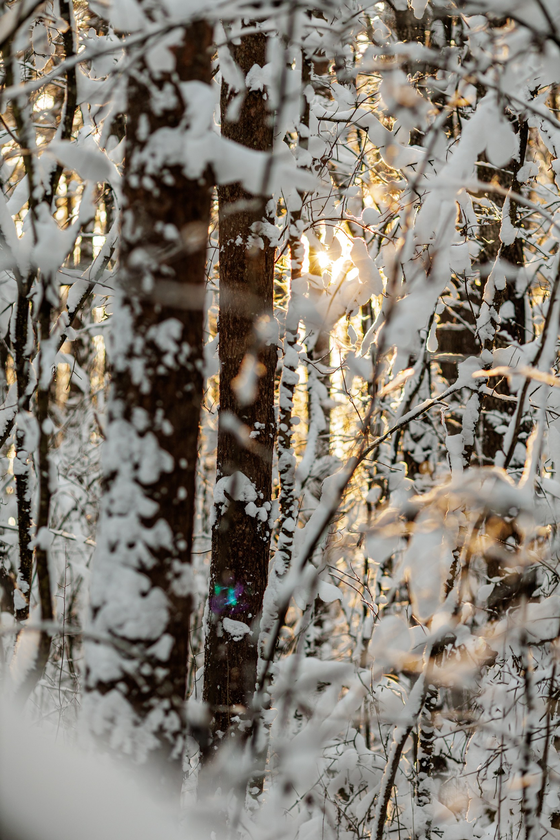 Истории. Фотограф Александр в Санкт-Петербурге