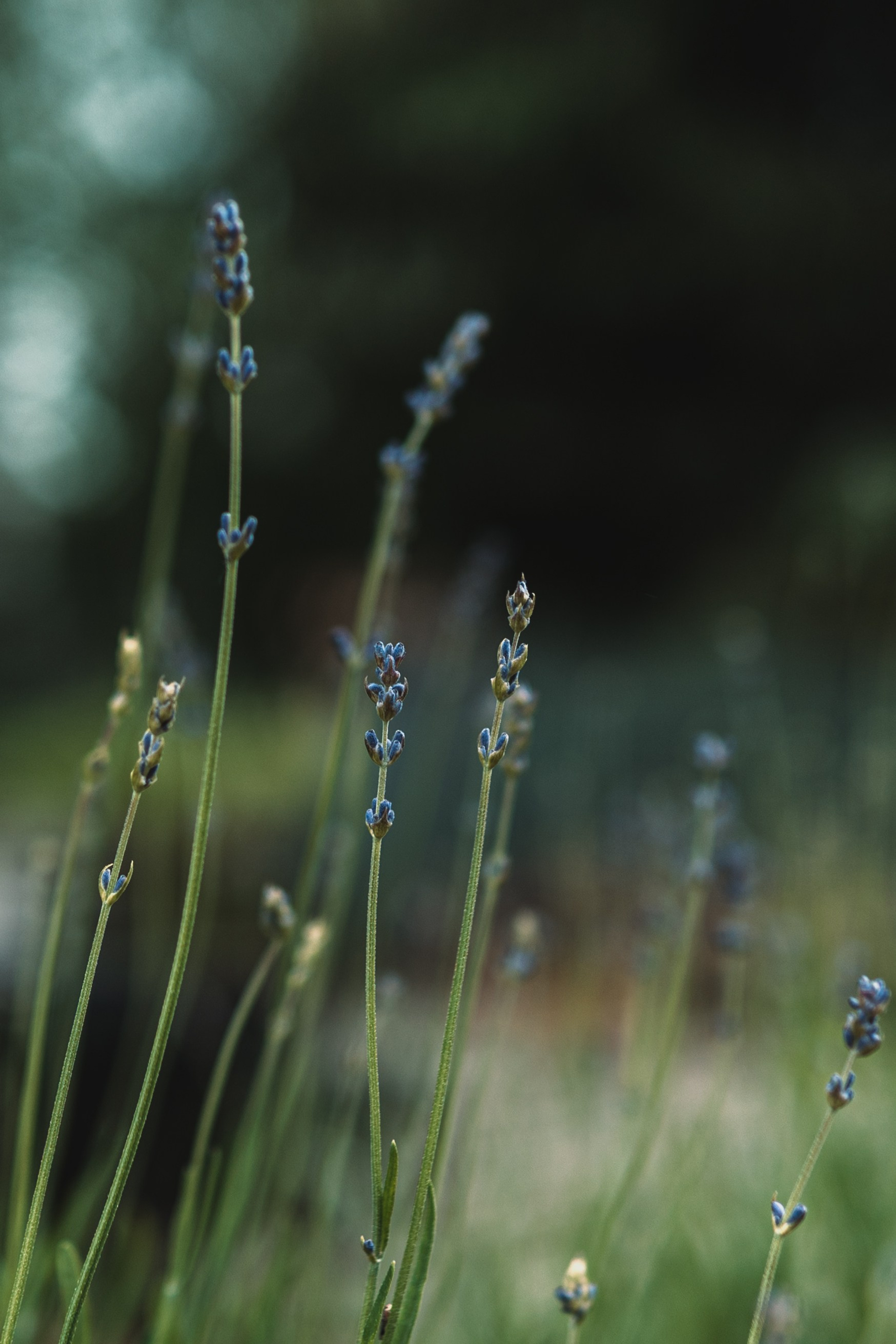 Блог. Коммерческий фотограф в Москве Билуши Василиса