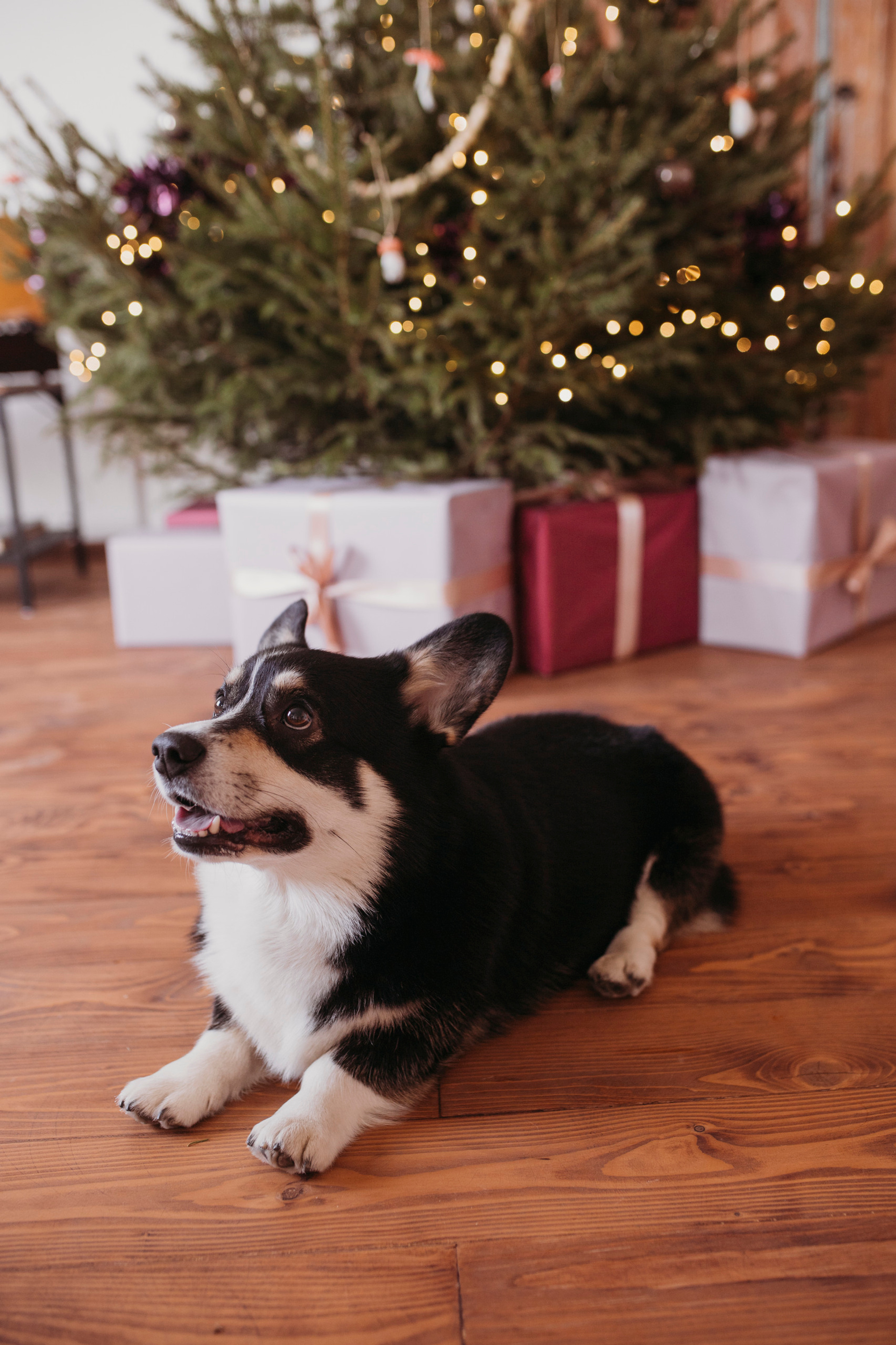 Отзывы. Семейный фотограф в Краснодаре Коломыцева Евгения