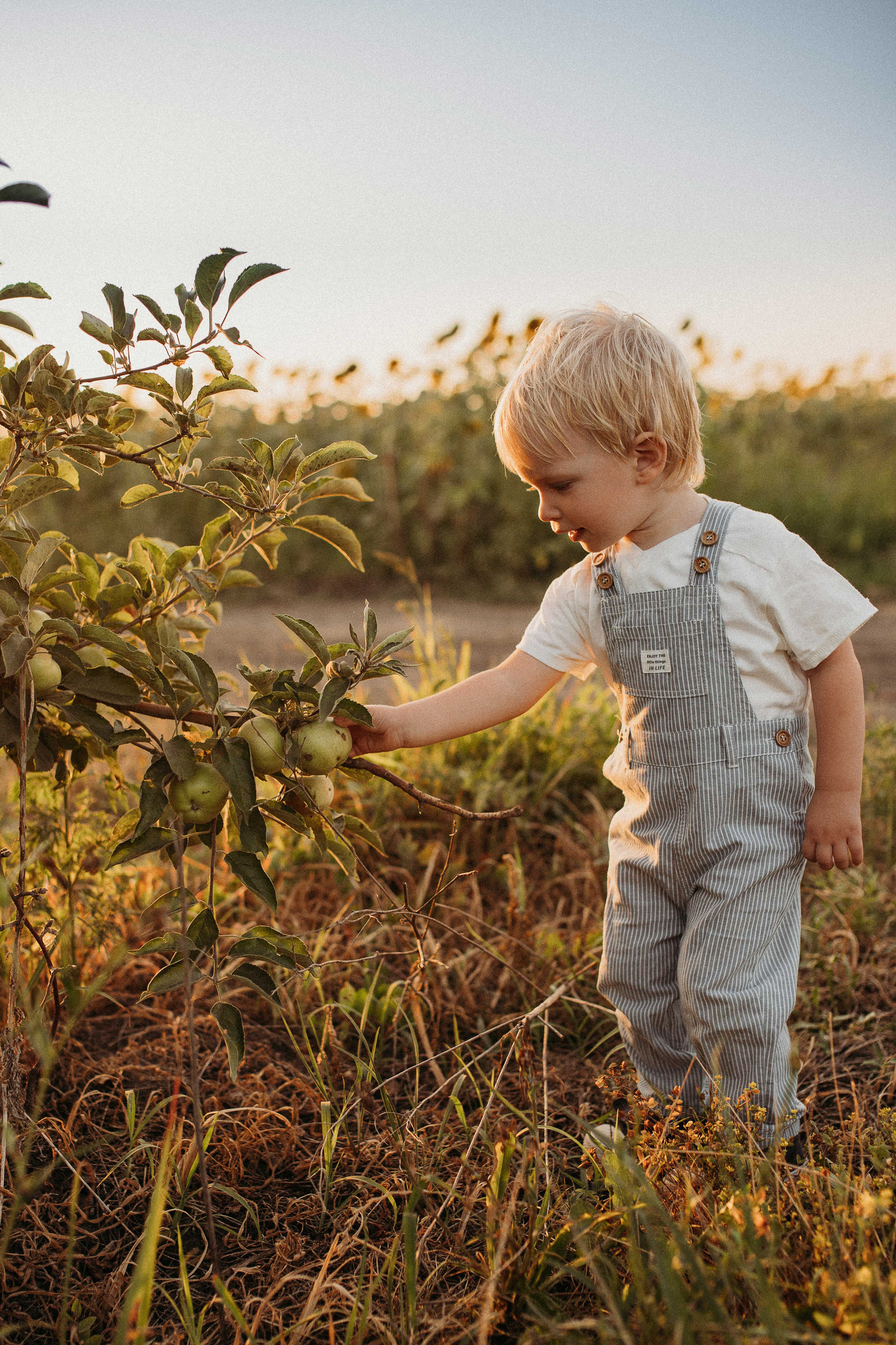 Отзывы. Семейный фотограф в Краснодаре Коломыцева Евгения