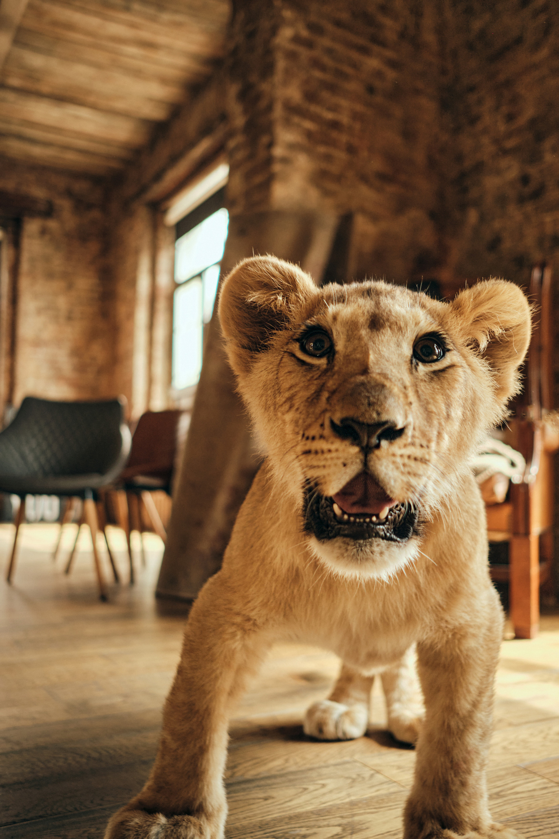 Истории. Фотограф в Москве — Галунина Кристина