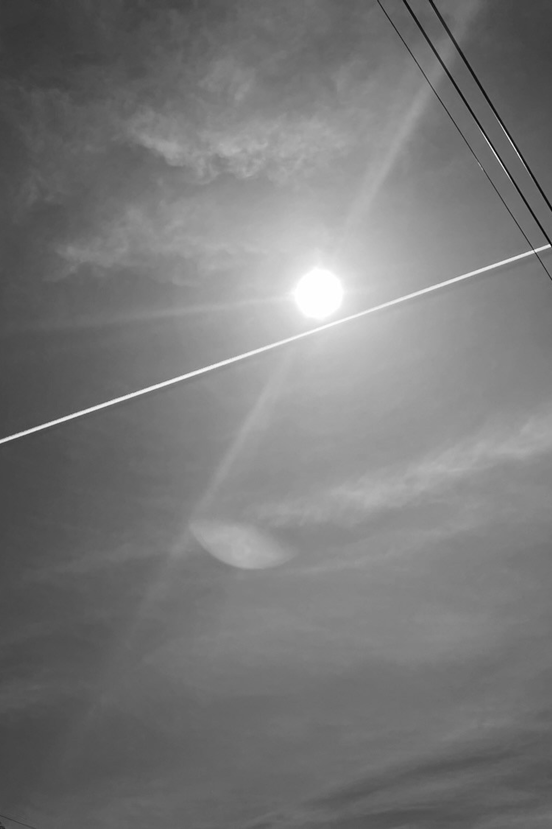 Frame 34 / 34 кадр