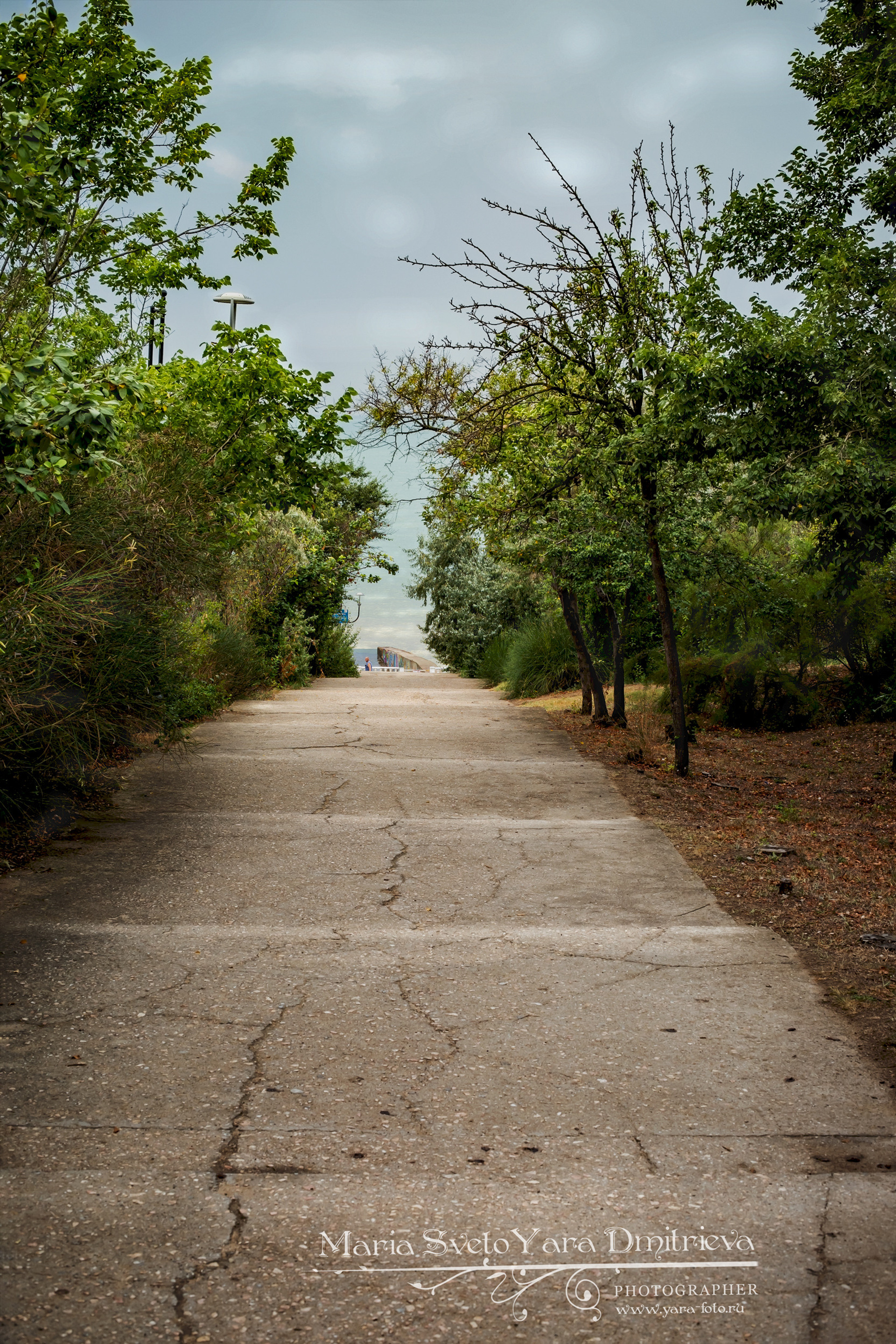 пос. Андреевка, 2021