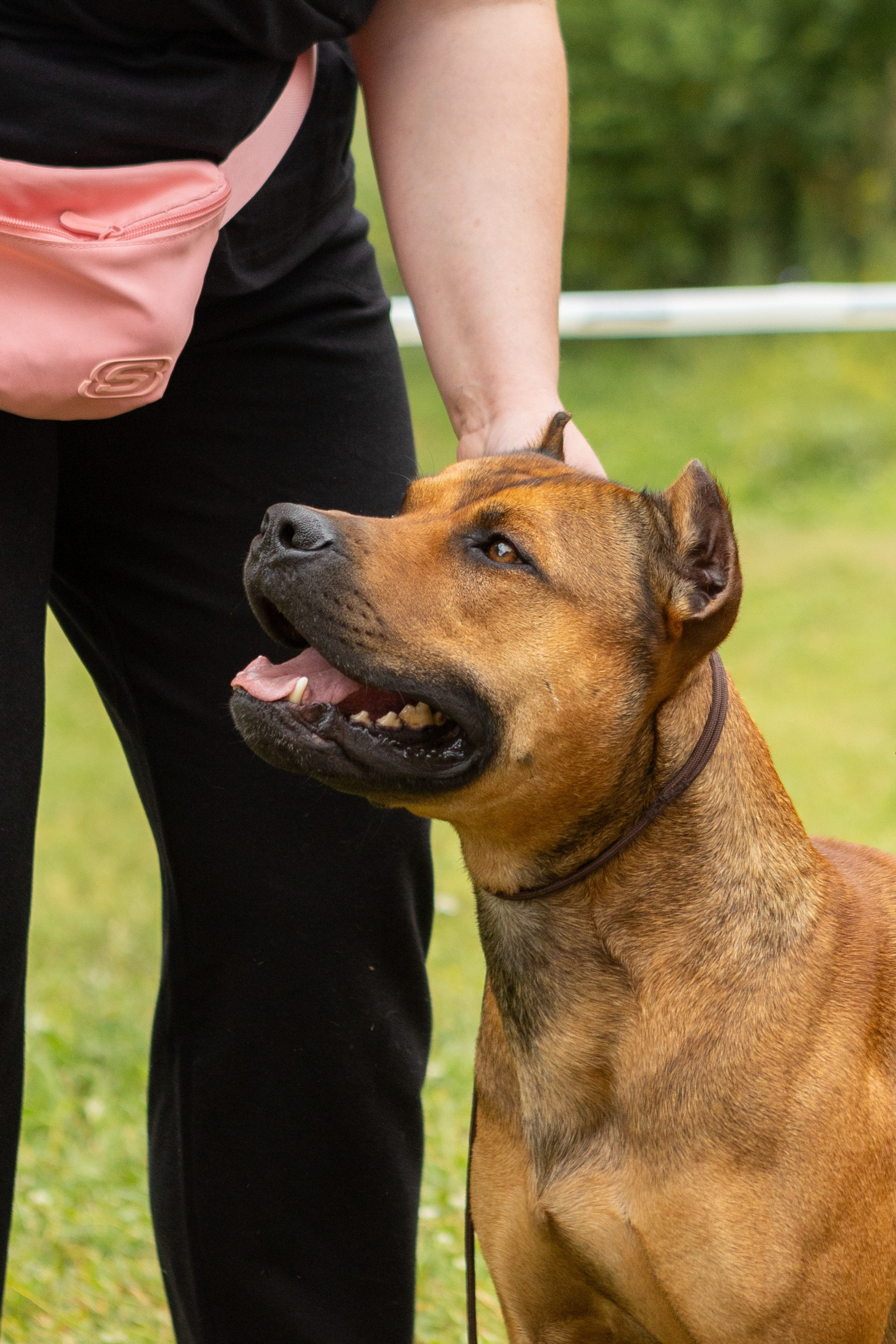 Отзывы. Фотограф Яна Матвеева в Ижевске