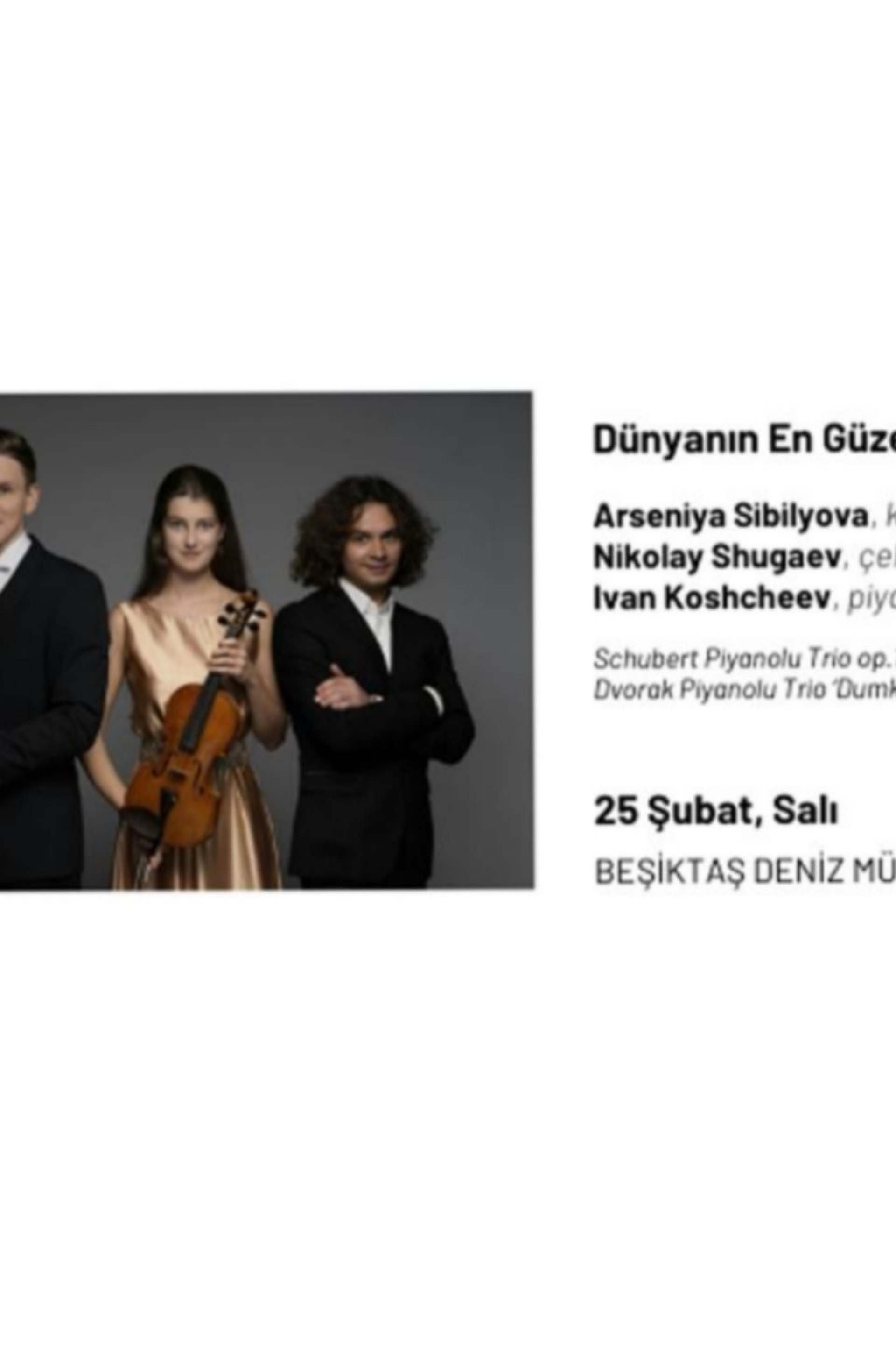 Афиши. Арсения Сибилёва | скрипка