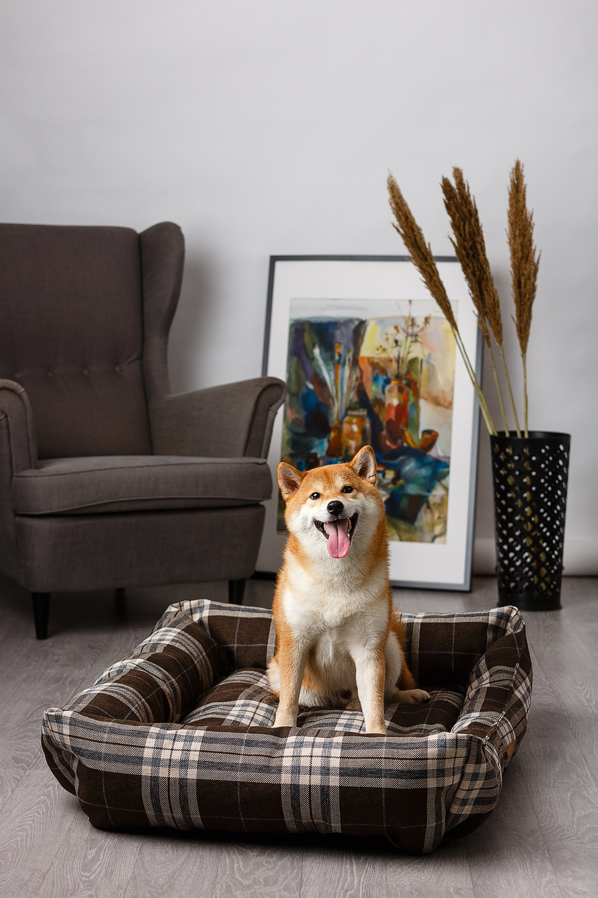 Студийная фотосъёмка товаров для животных, для маркектплейсов.