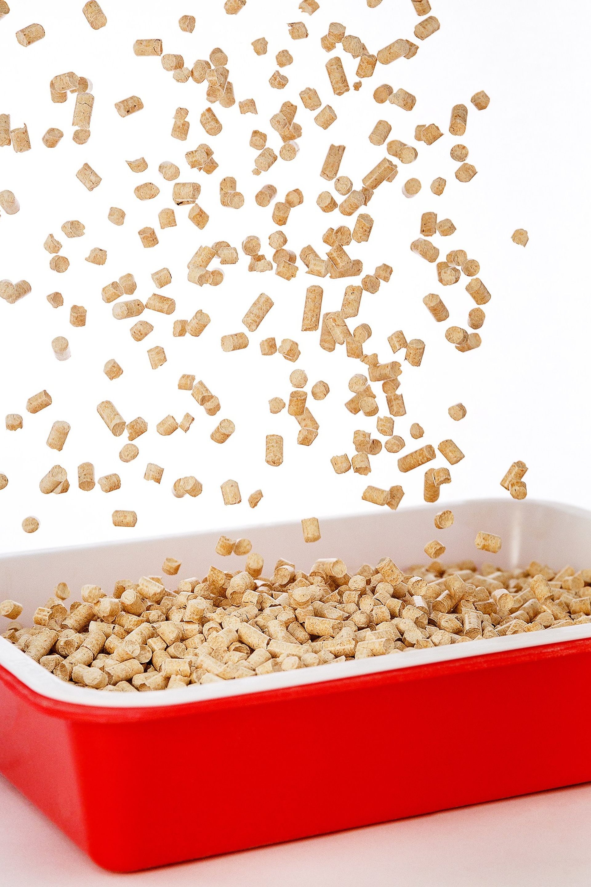 Фото товаров для животных на&nbsp;маркетплейс