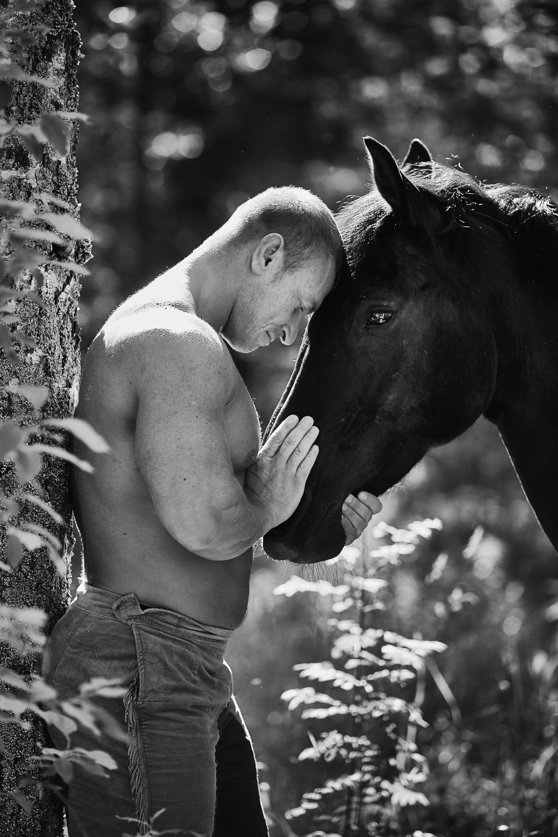 Фотосессия с&nbsp;лошадьми Фотограф Михаил Семенов