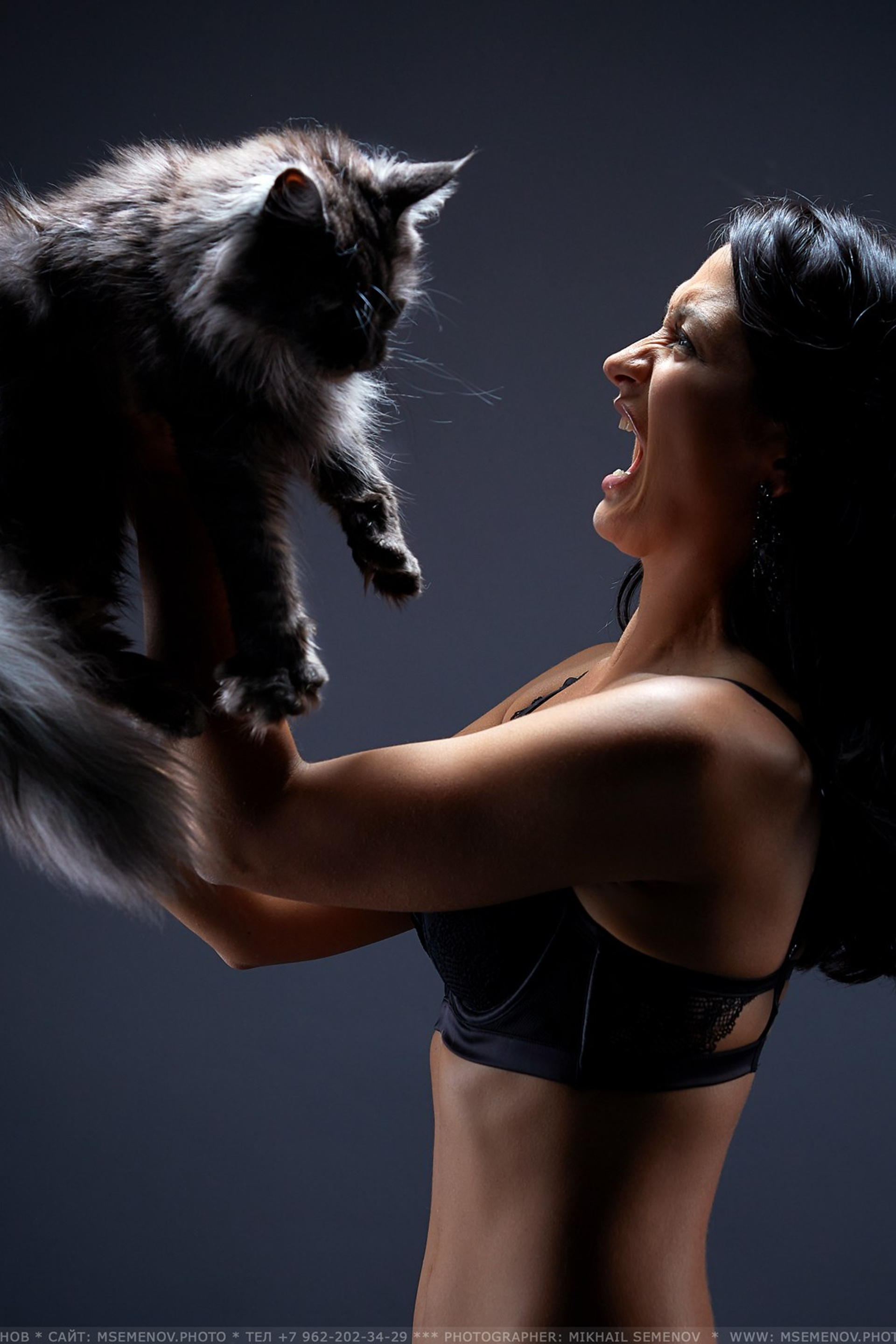 Фотосессия с&nbsp;кошками и&nbsp;собаками в&nbsp;г.&nbsp;Ярославле Фотограф Михаил Семенов