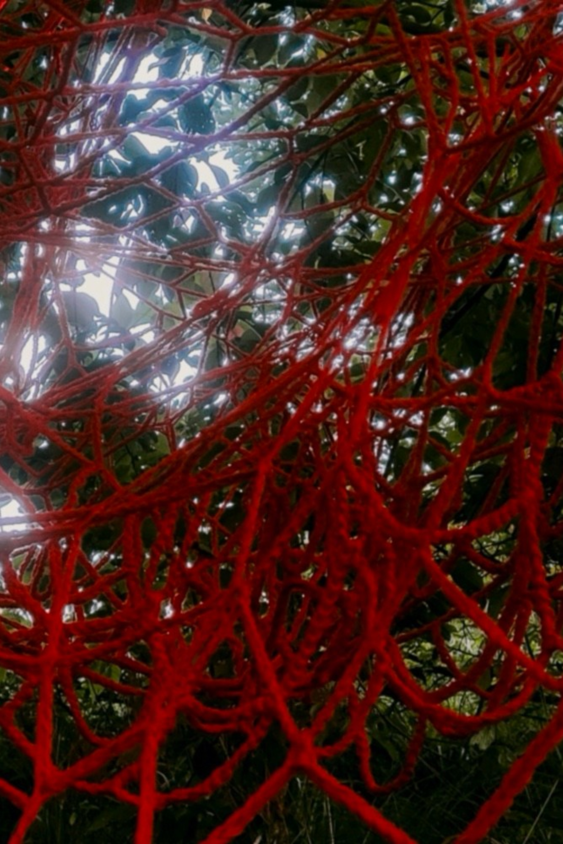 Installations and Art Objects. Mmiore