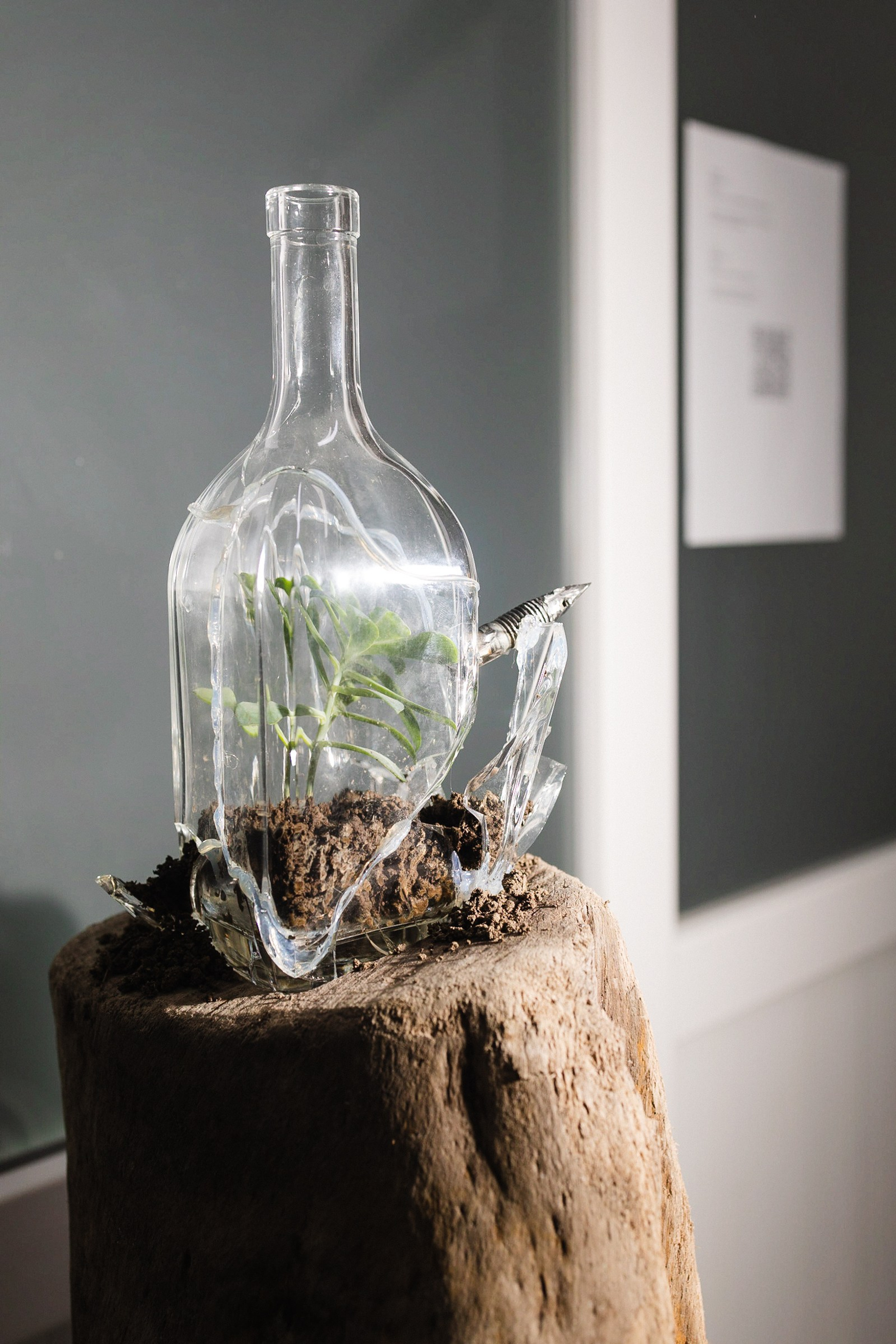 Curatorial projects. Mmiore