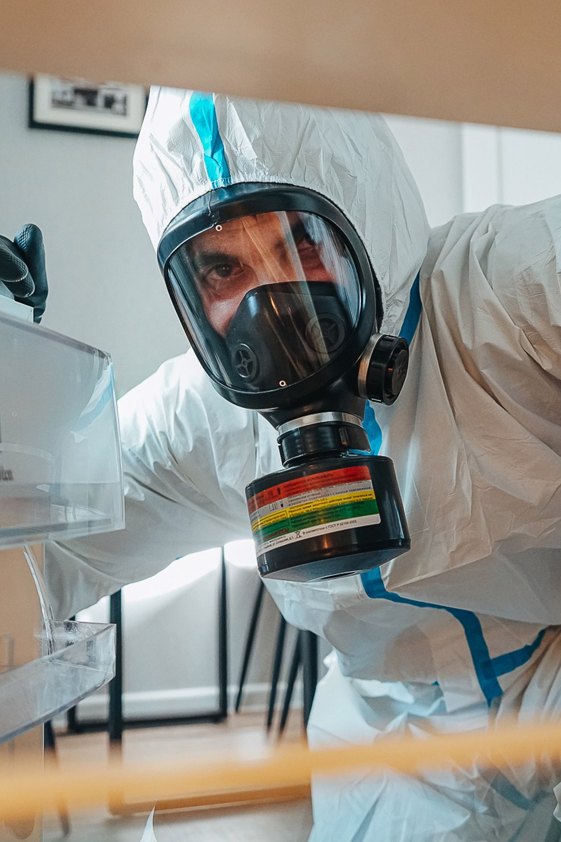 Дезинсекция