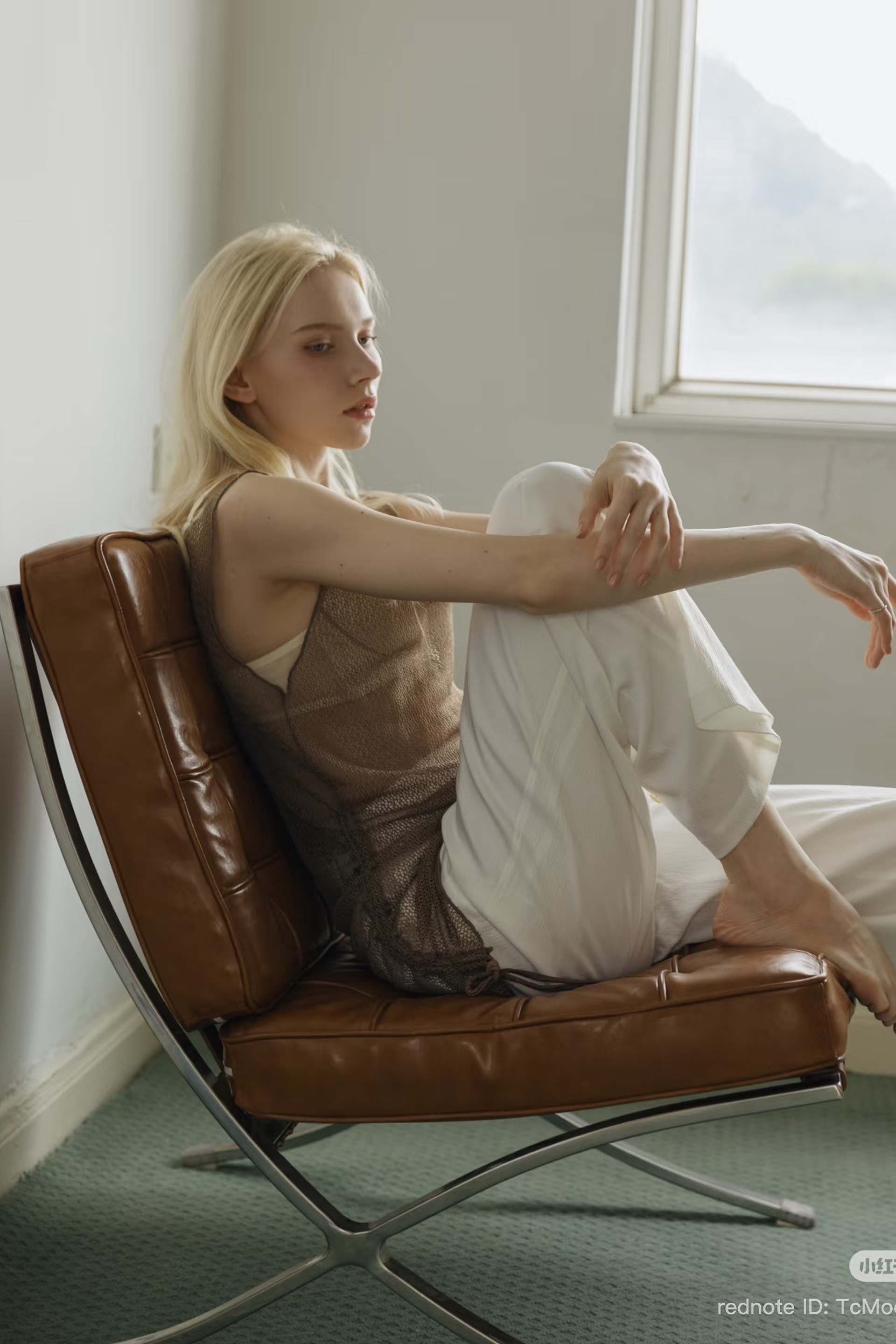 BOOK. MONSTERA MODELS