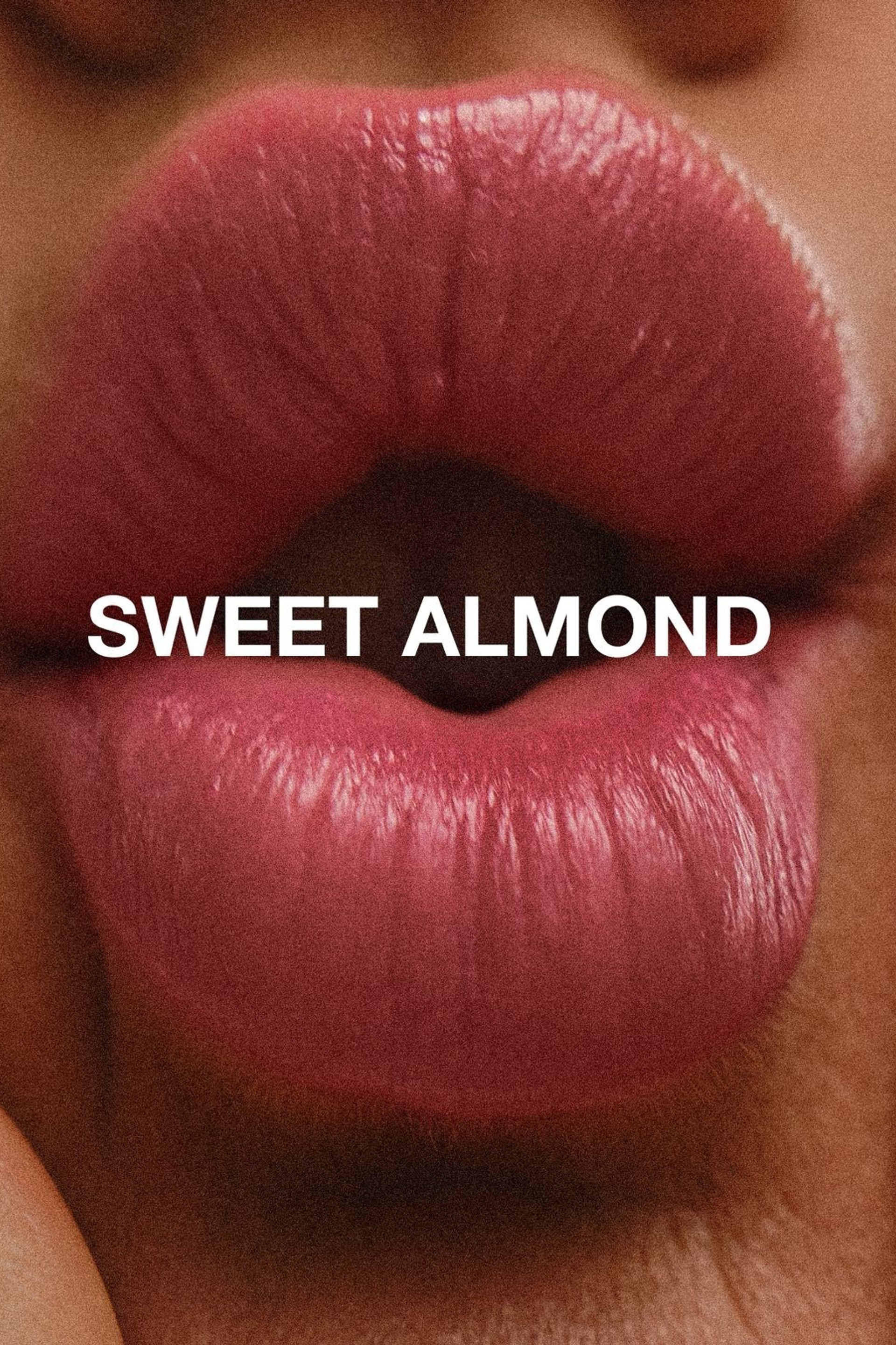 BOOK. MONSTERA MODELS