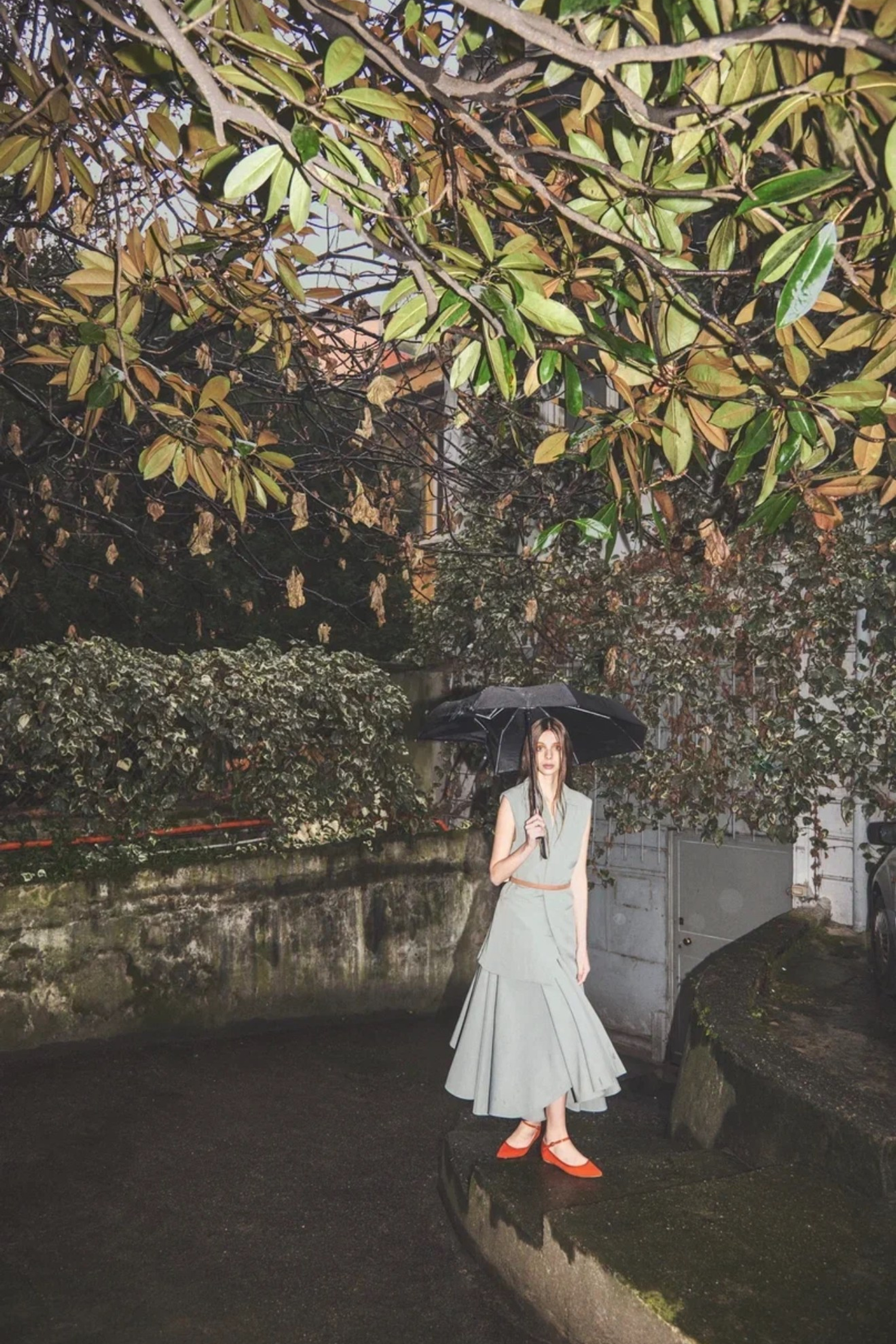 BOOK. MONSTERA MODELS