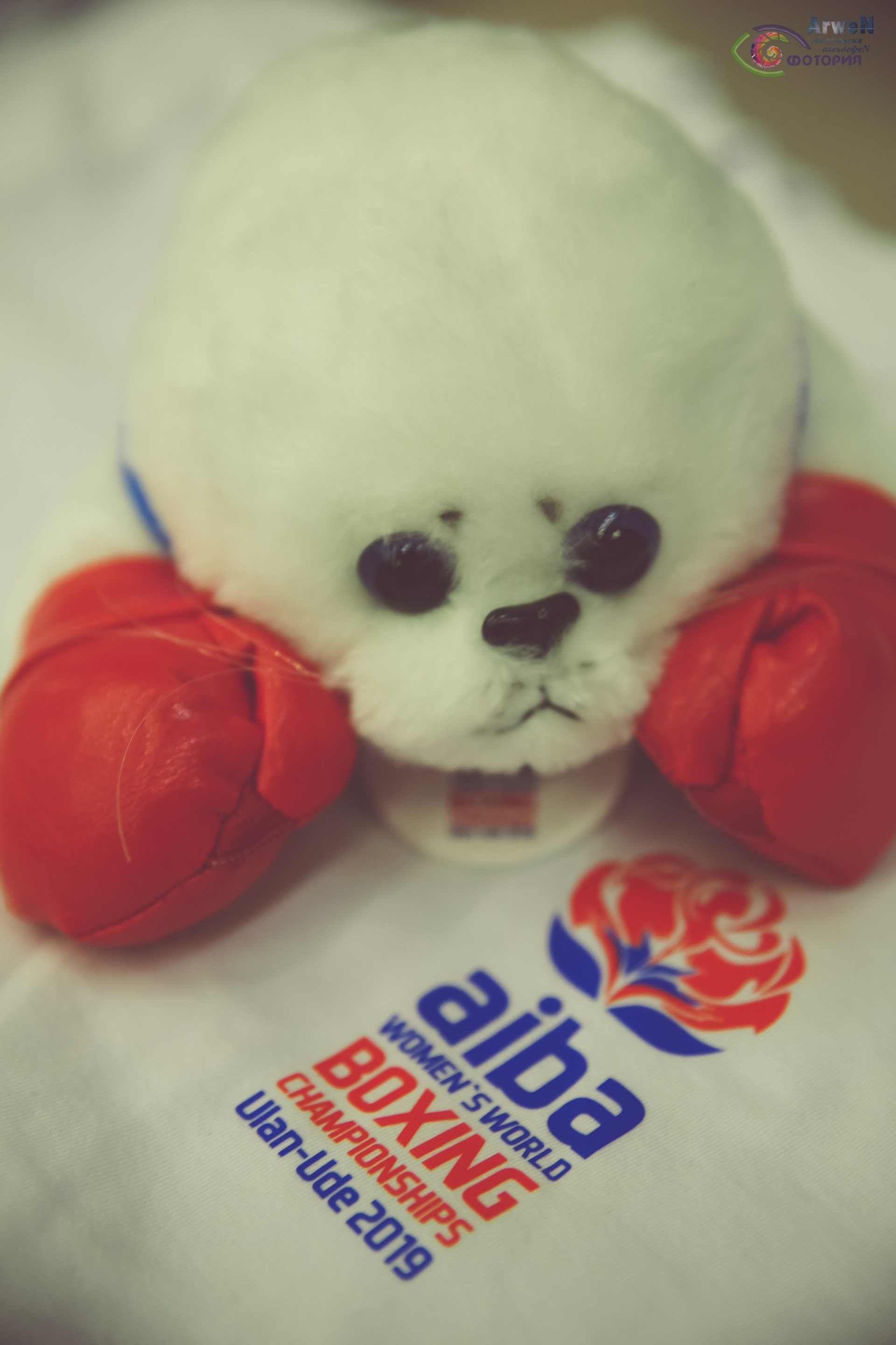 Репортажная фотография. Профессиональный фотограф. Работаю в Улан-Удэ, Новосибирске и др