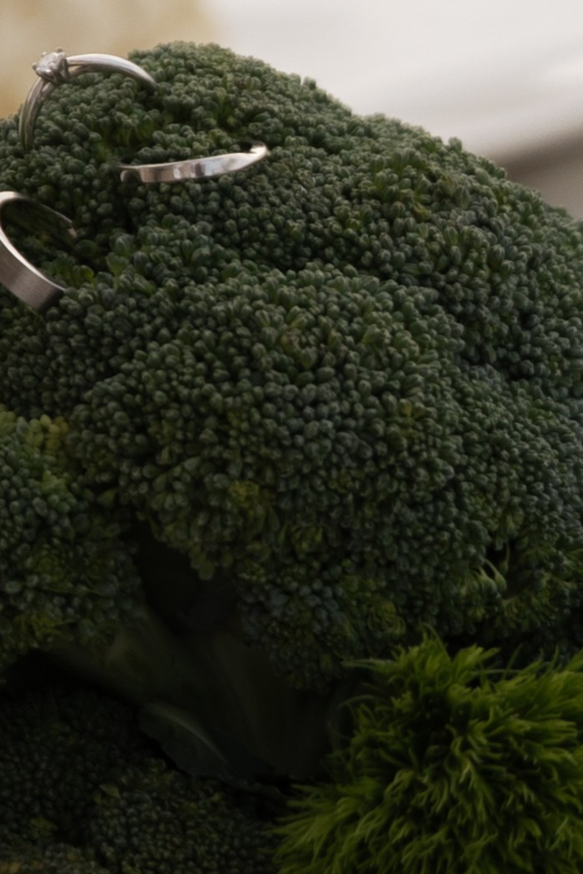 A&M. Свадебный фотограф в Краснодаре Алена Колесникова