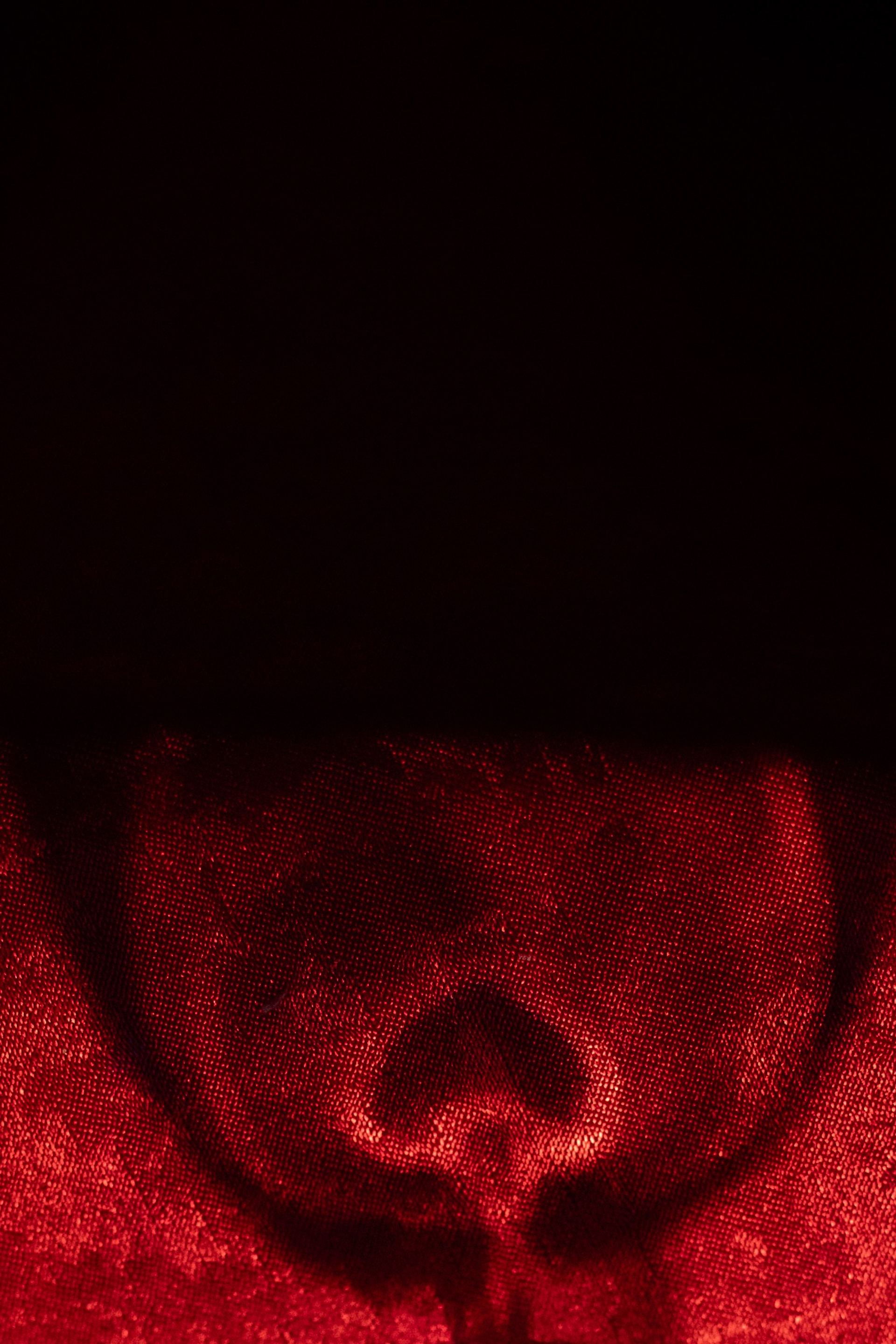 Wedding Awards South'25. Свадебный фотограф в Краснодаре Алена Колесникова