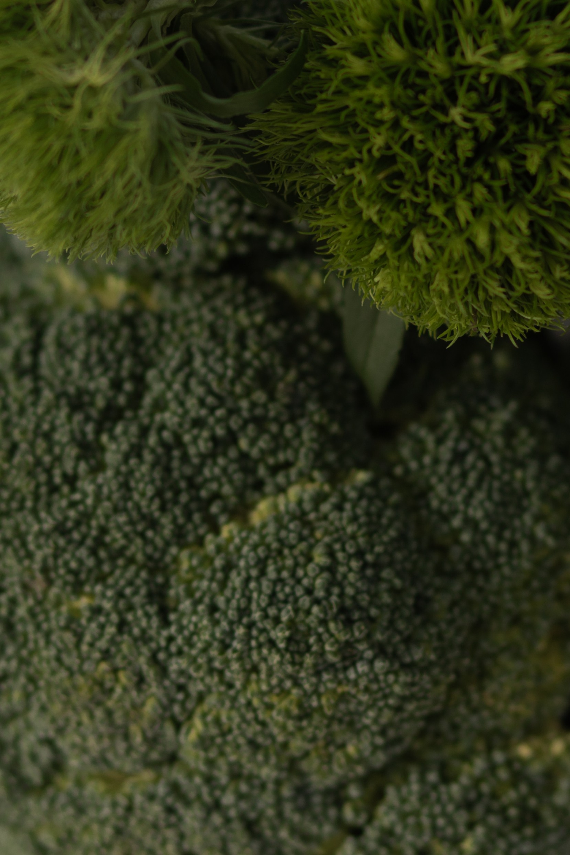 A&M. Свадебный фотограф в Краснодаре Алена Колесникова