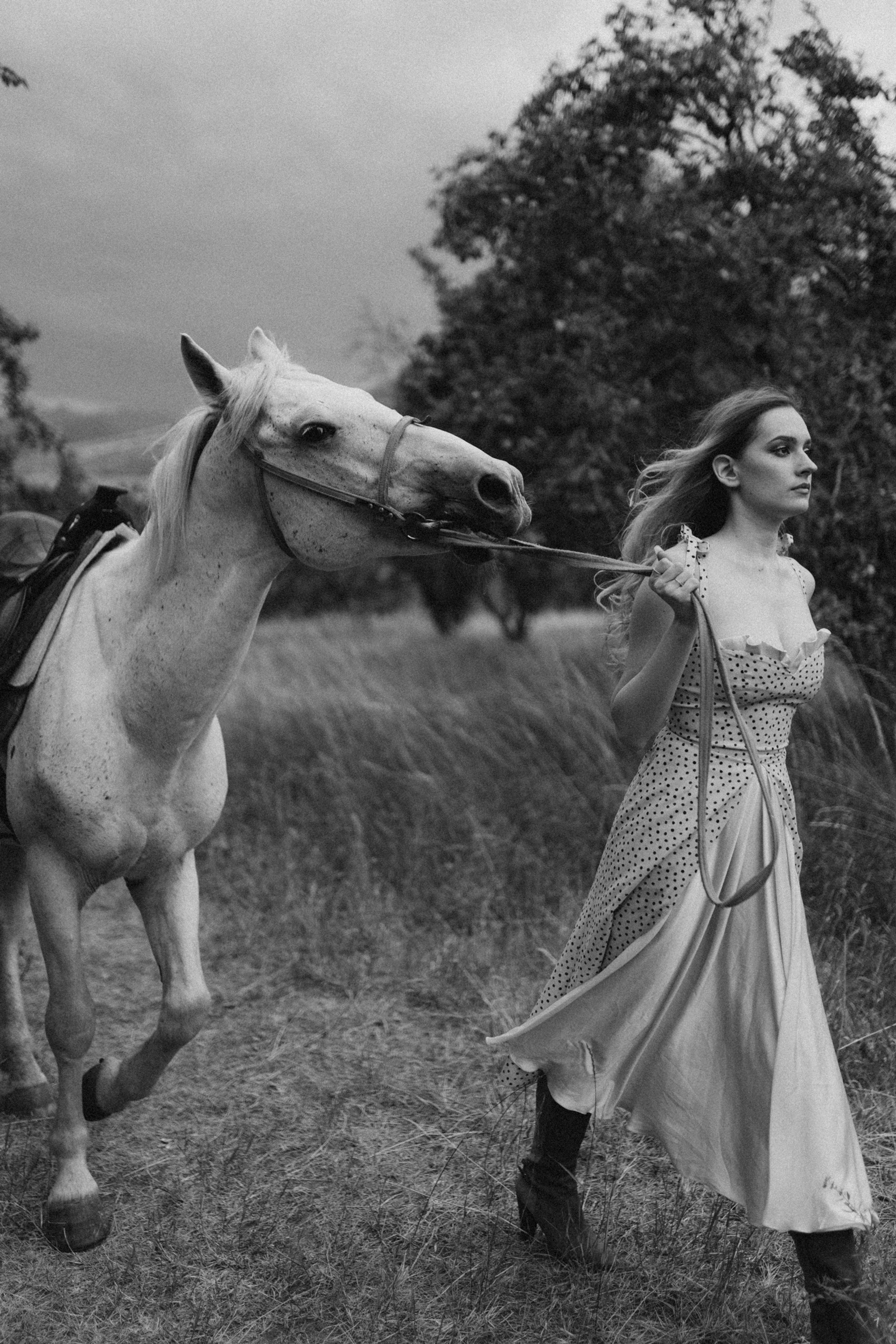The Equine Muse