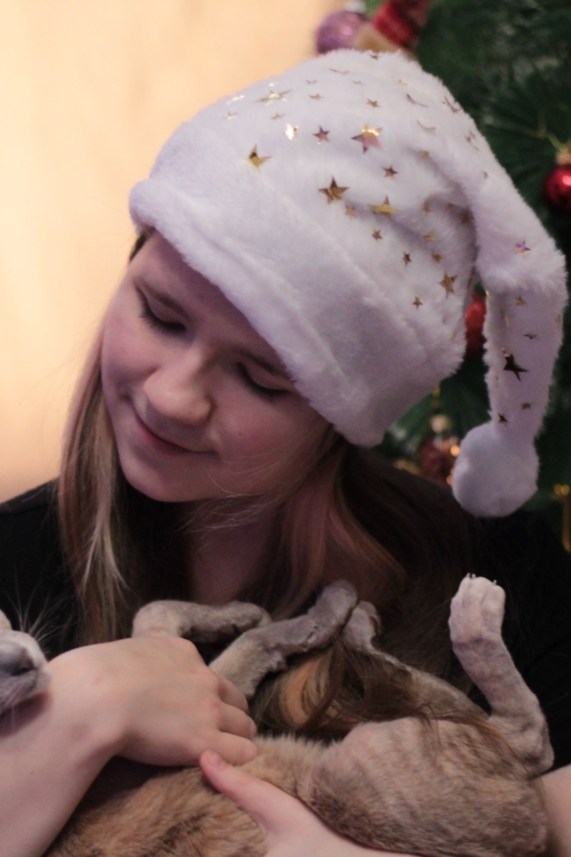 Катя и&nbsp;ее&nbsp;любимые питомцы