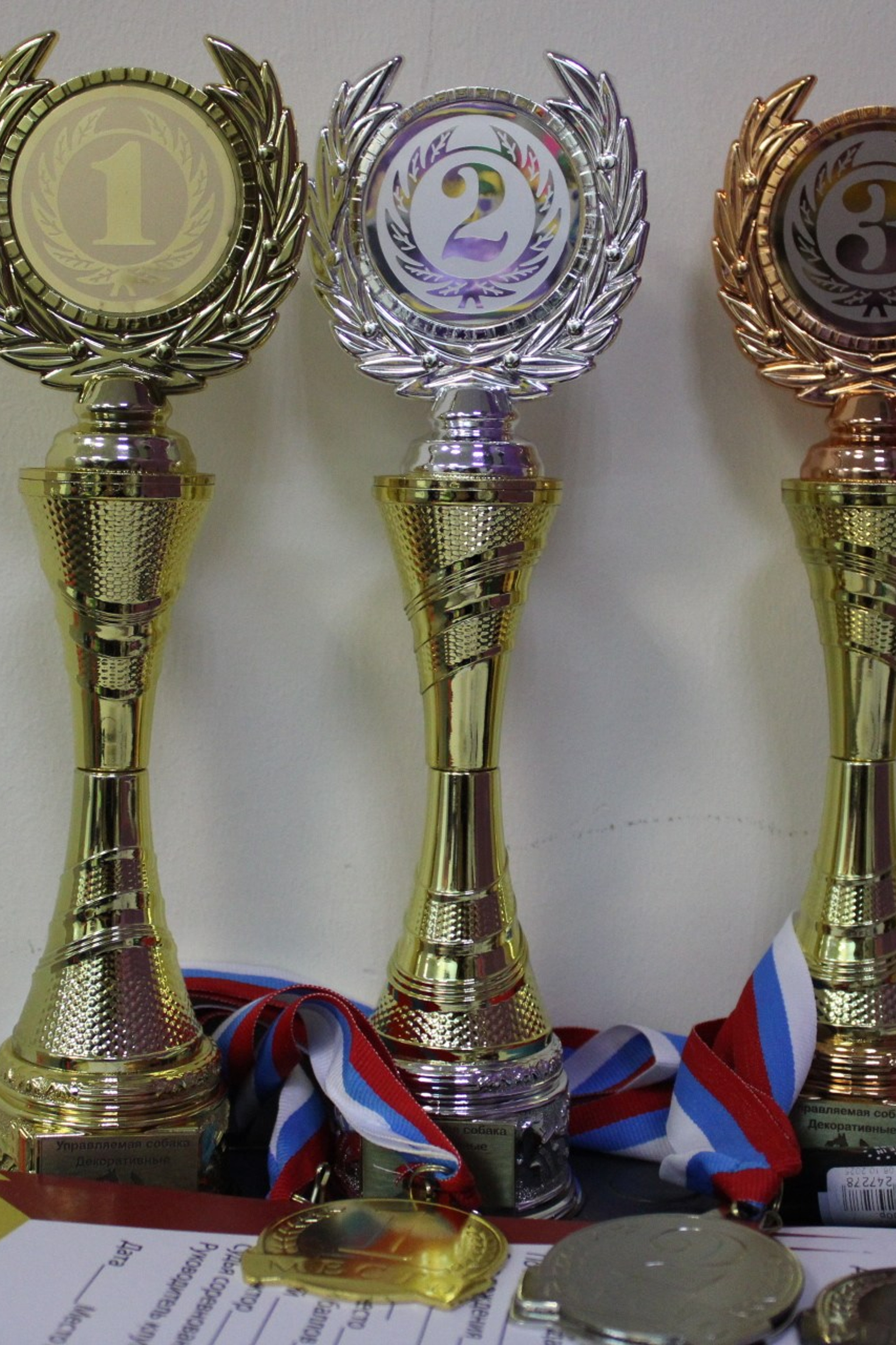 Репортаж УС&nbsp;«ДЦ&nbsp;Ральф»