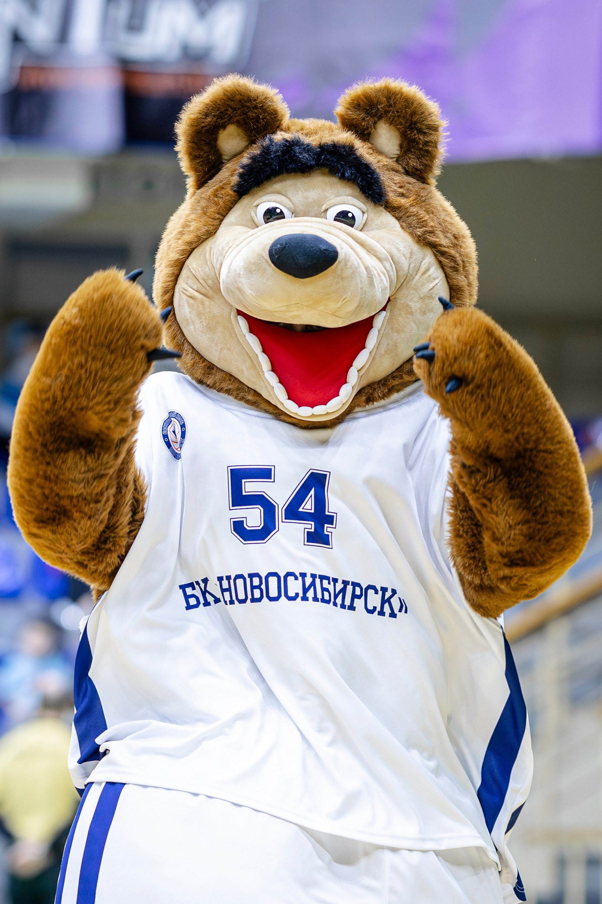 Баскетбол (БК Новосибирск) Сезон 2024-2025