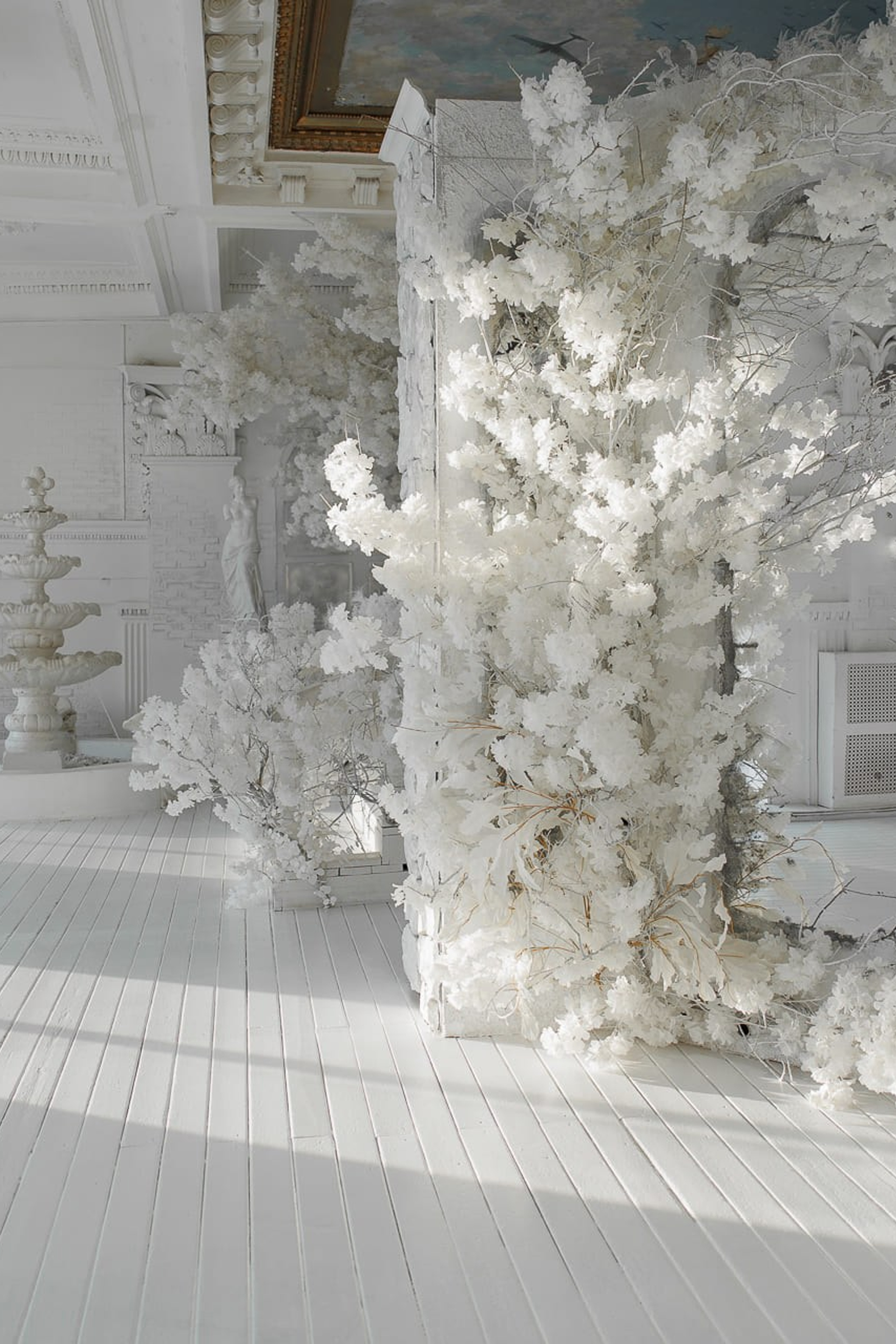 Студия MANSARDA — Royal для предметной съемки Н.Новгород |Sale Easy