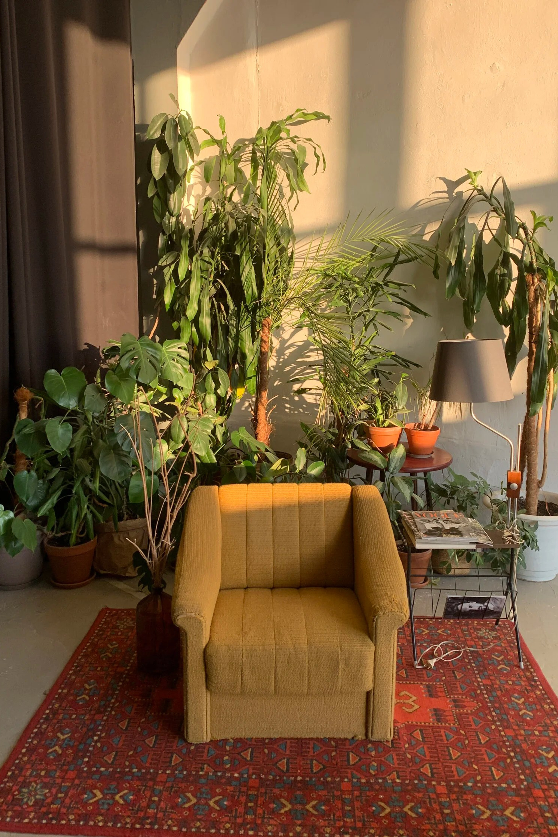 Студия DOM STUDIOS — BRI для предметной съемки Н.Новгород |Sale Easy