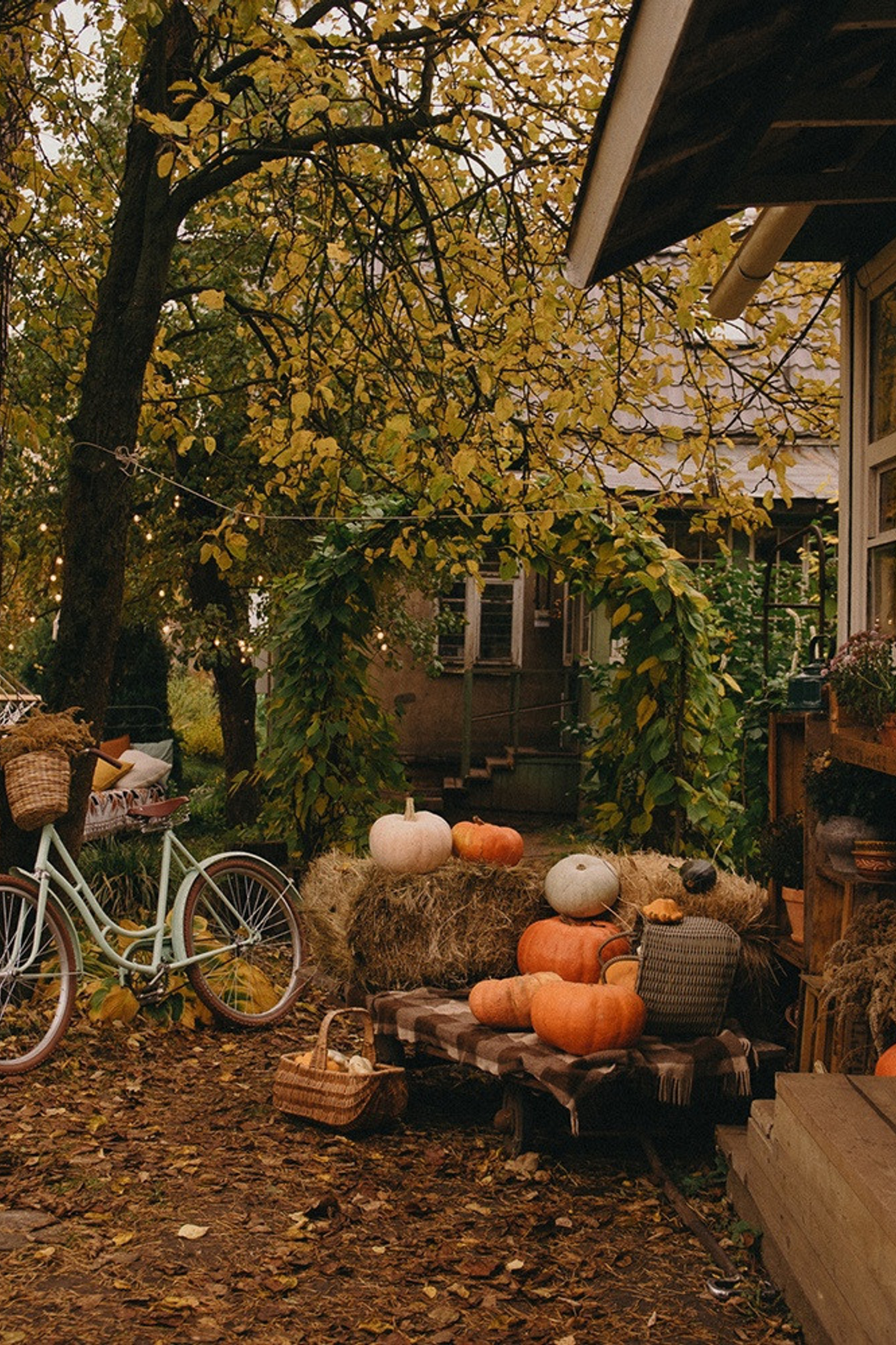 Студия Dom_Ellie для предметной съемки Пушкино |Sale Easy