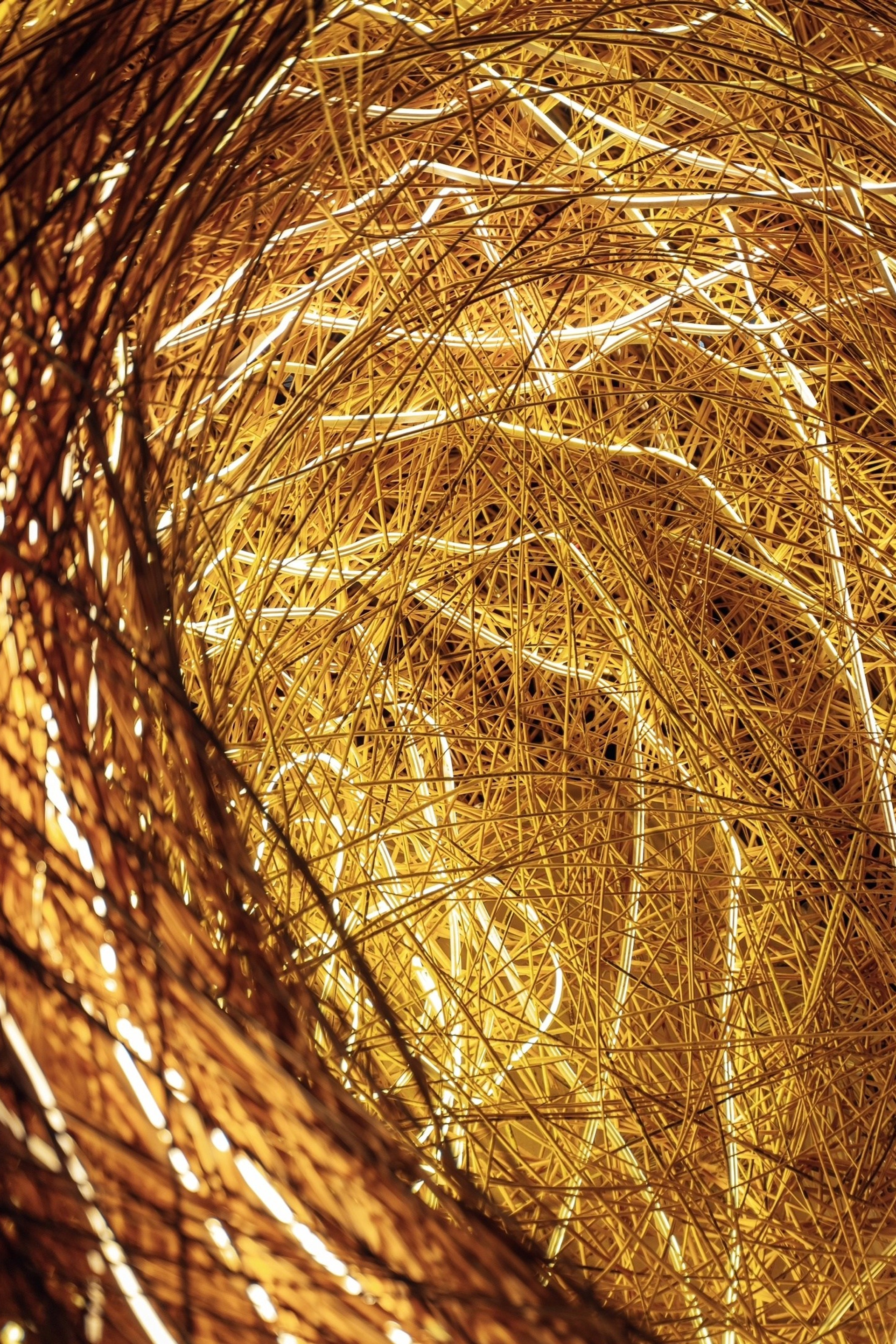 Портфолио для тендеров Ситилинк|Sale Easy