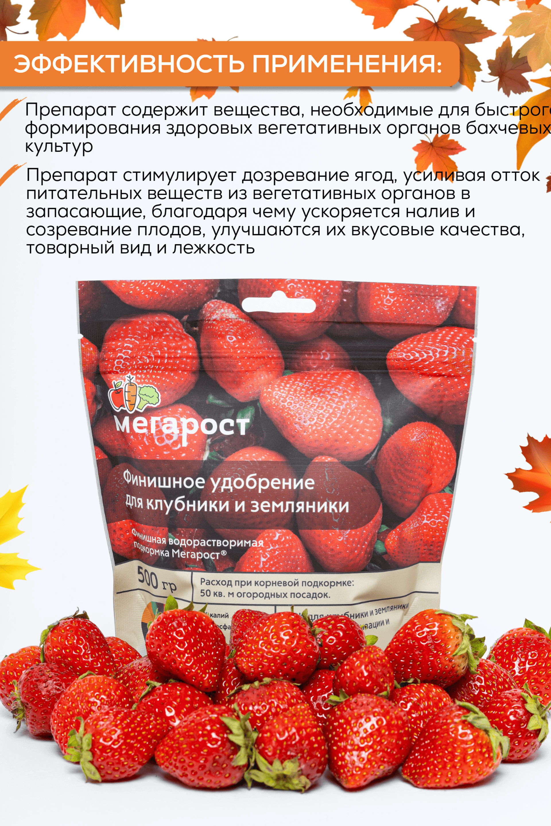 Портфолио.Инфографика для интернет магазинов | Sale Easy