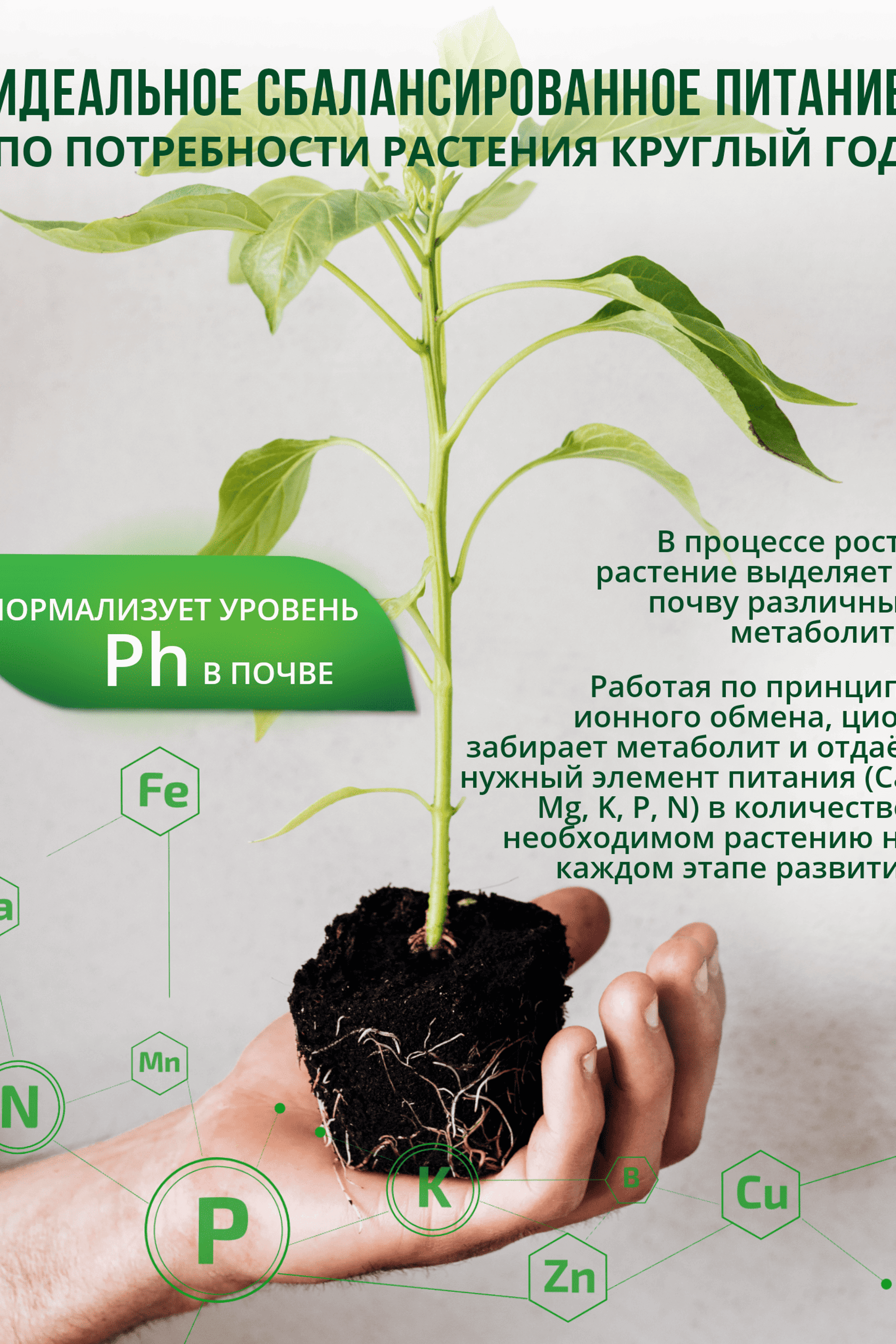 Инфографика для предметной съемки – делает визуальный акцент на ключевых деталях товара.