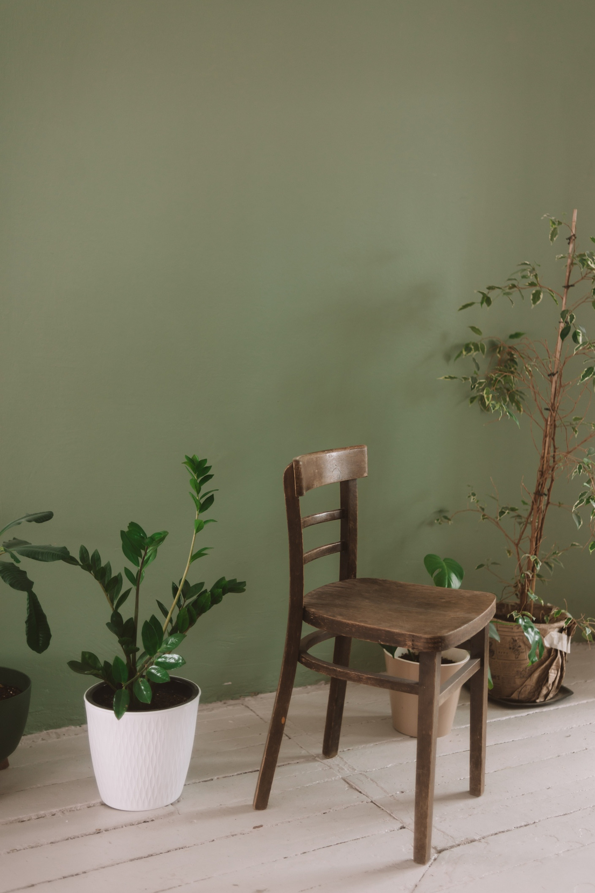 Студия DEPO art studio зал НОМЕ для предметной съемки Пушкино