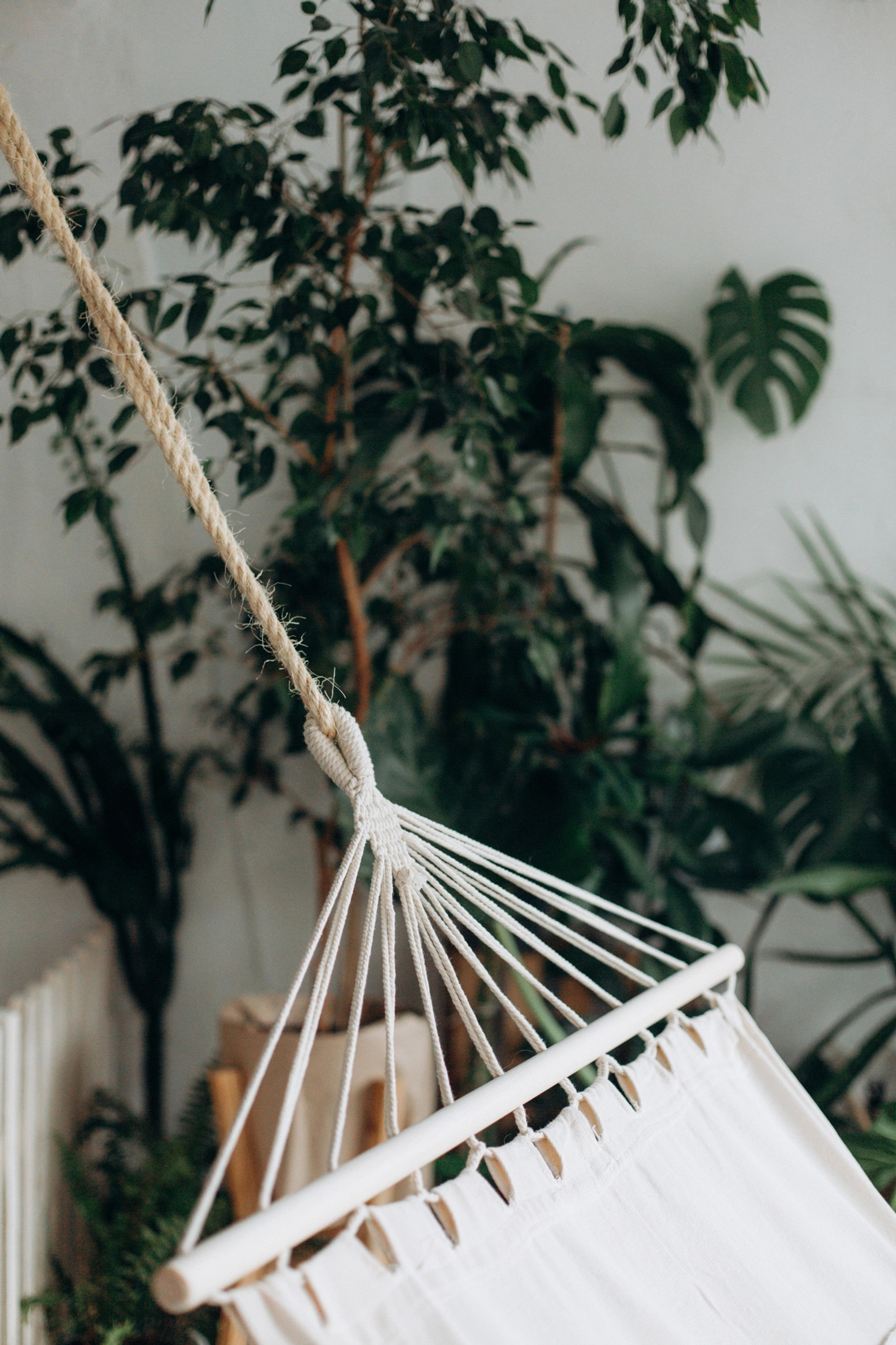 Студия Парник для предметной съемки Н.Новгород |Sale Easy