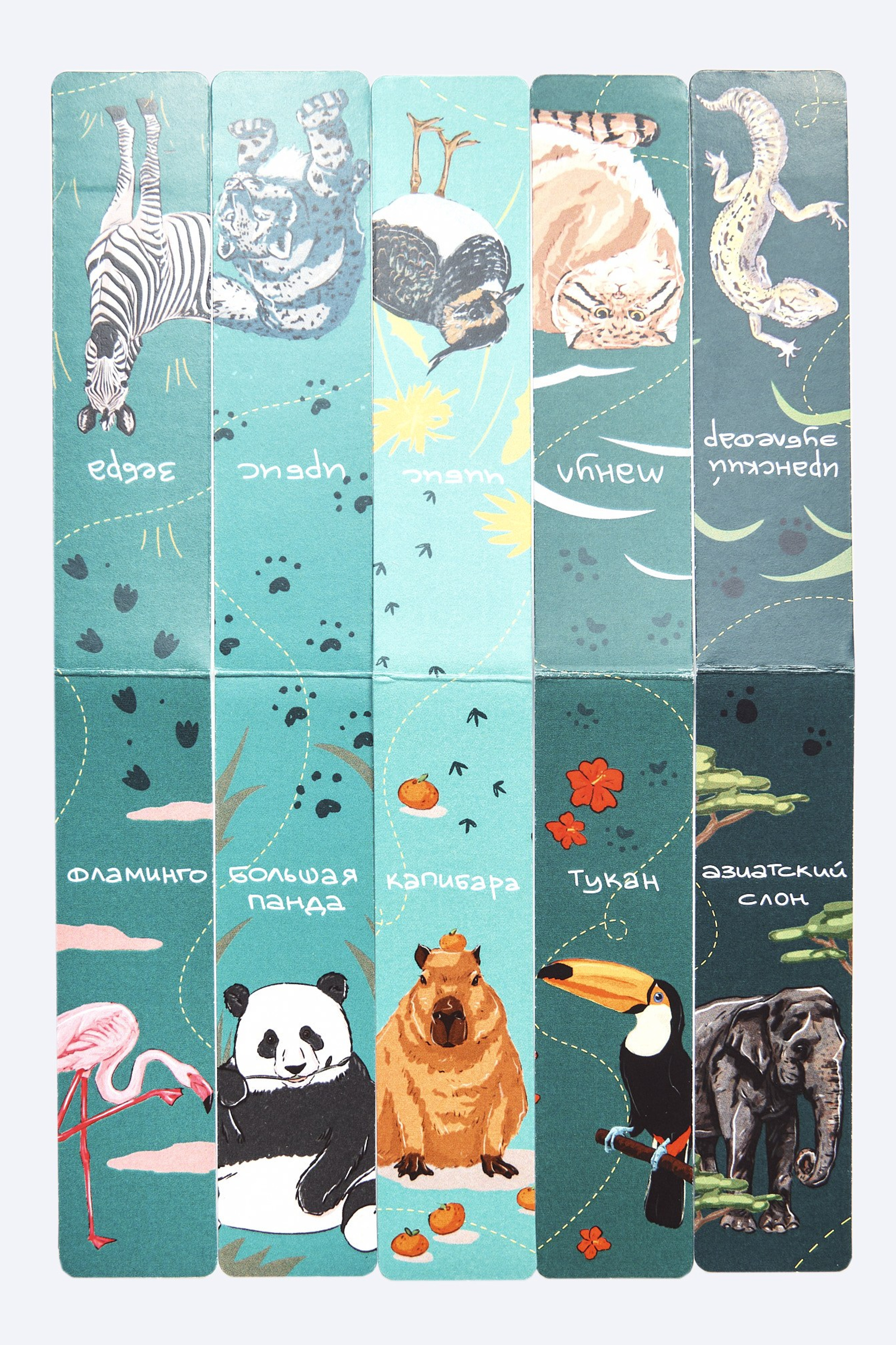 Московский зоопарк