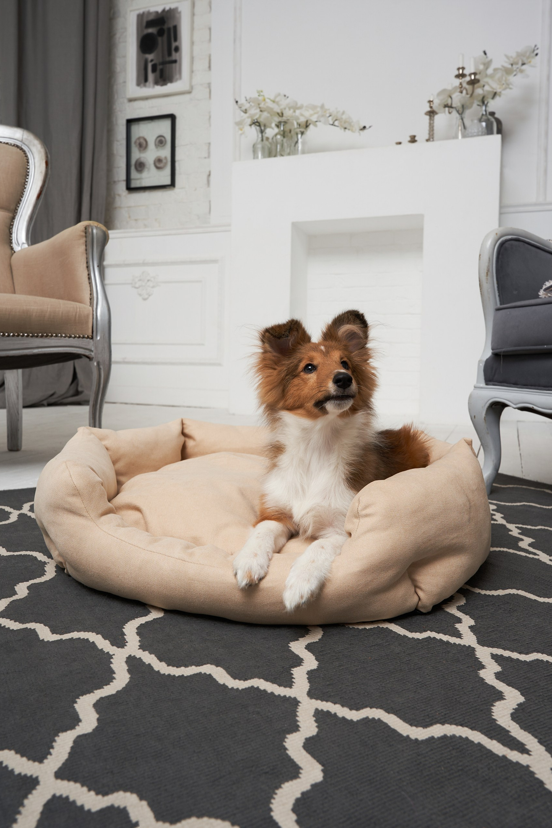 Модель Ривер Шелти для предметной съемки Н.Новгород | Sale Easy