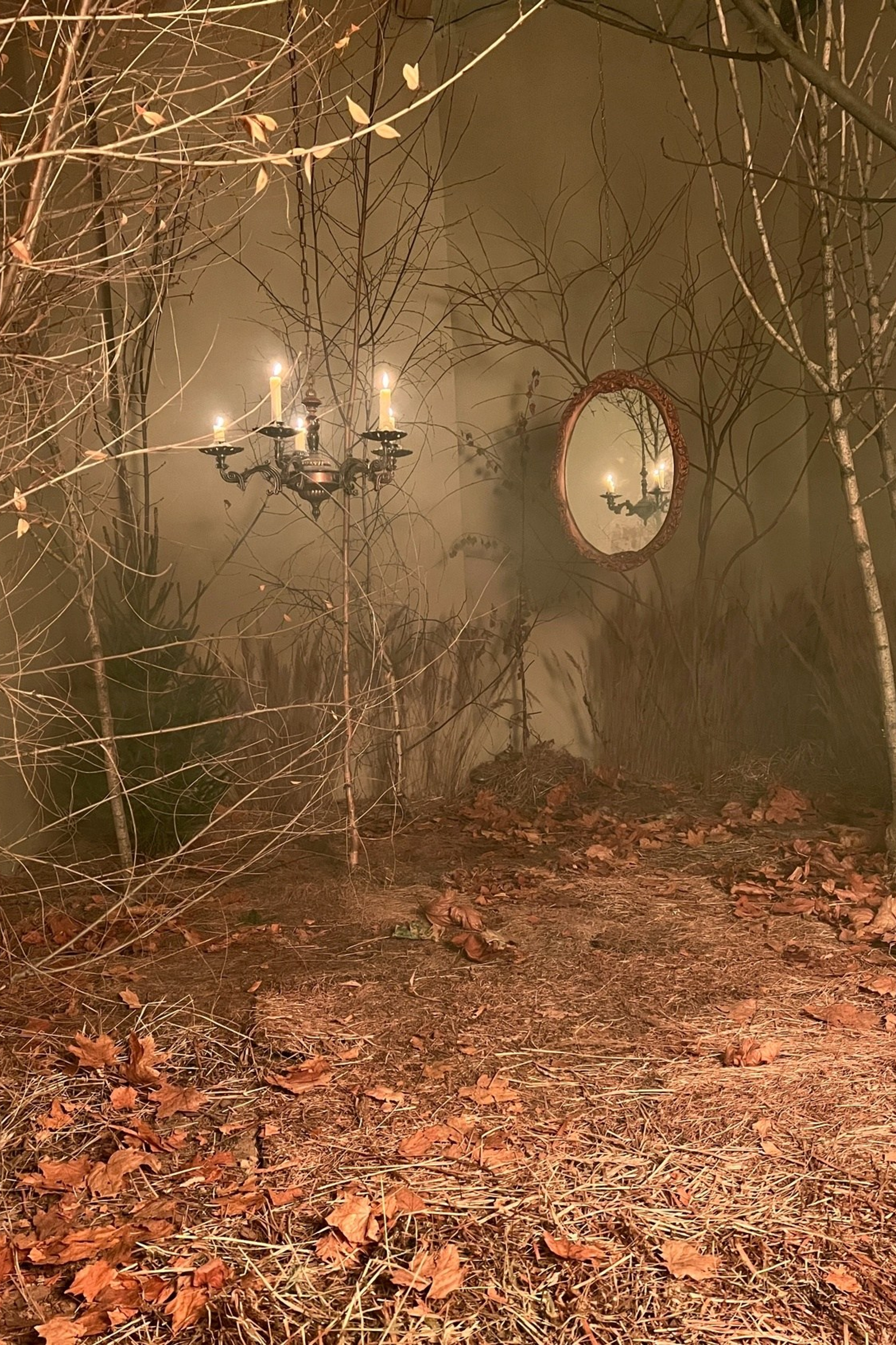 Студия Лес — Зал Лес для предметной съемки НН|Sale Easy