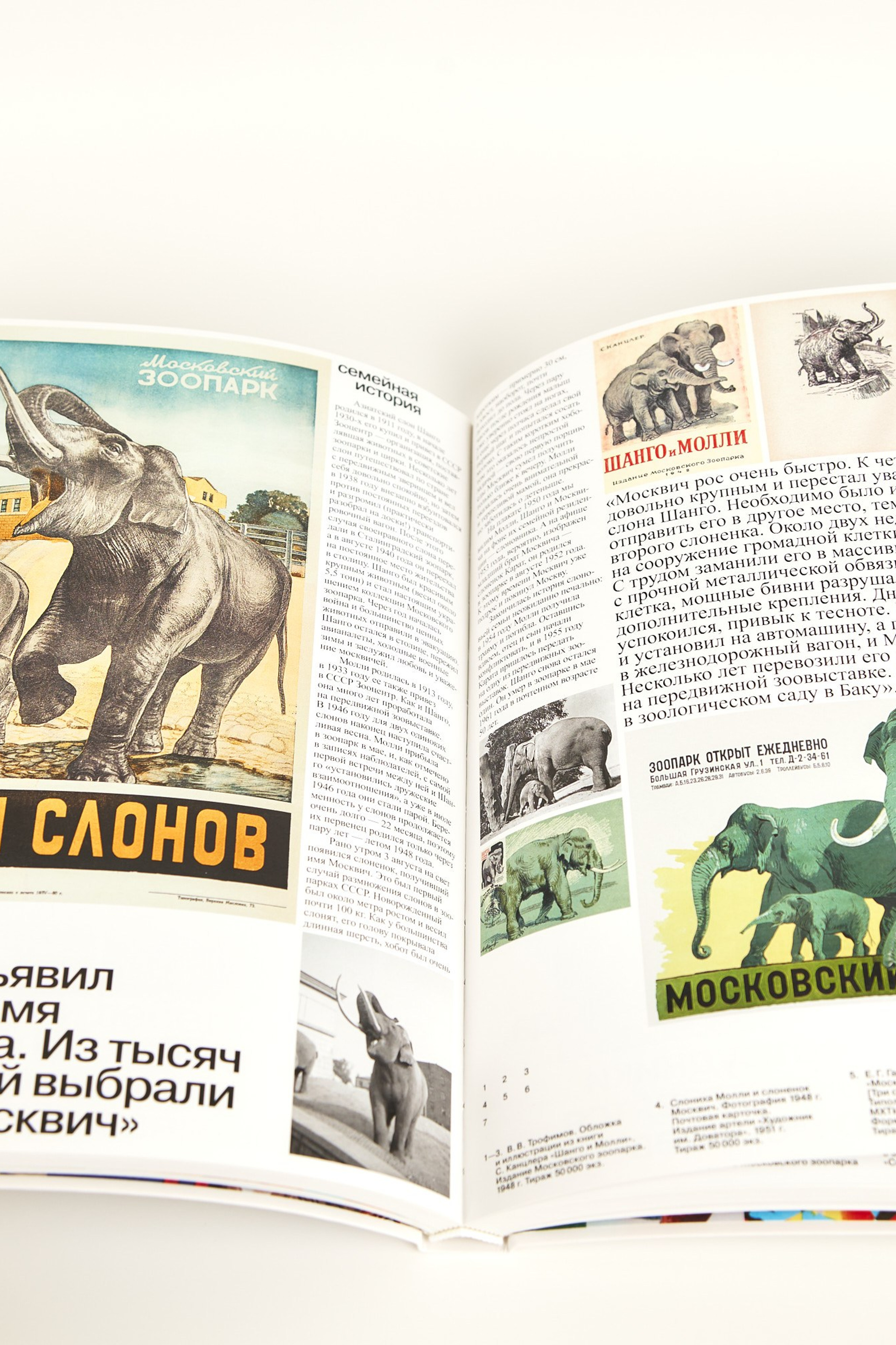 Московский зоопарк